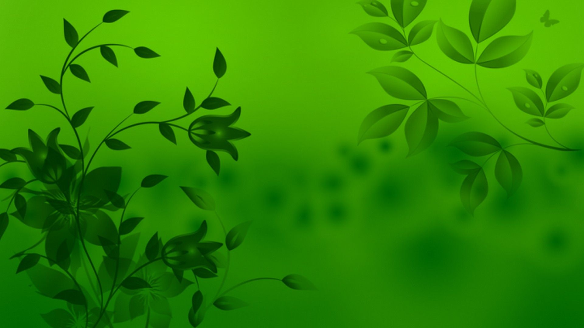 Green Colour Desktop Background Live Wallpaper HD