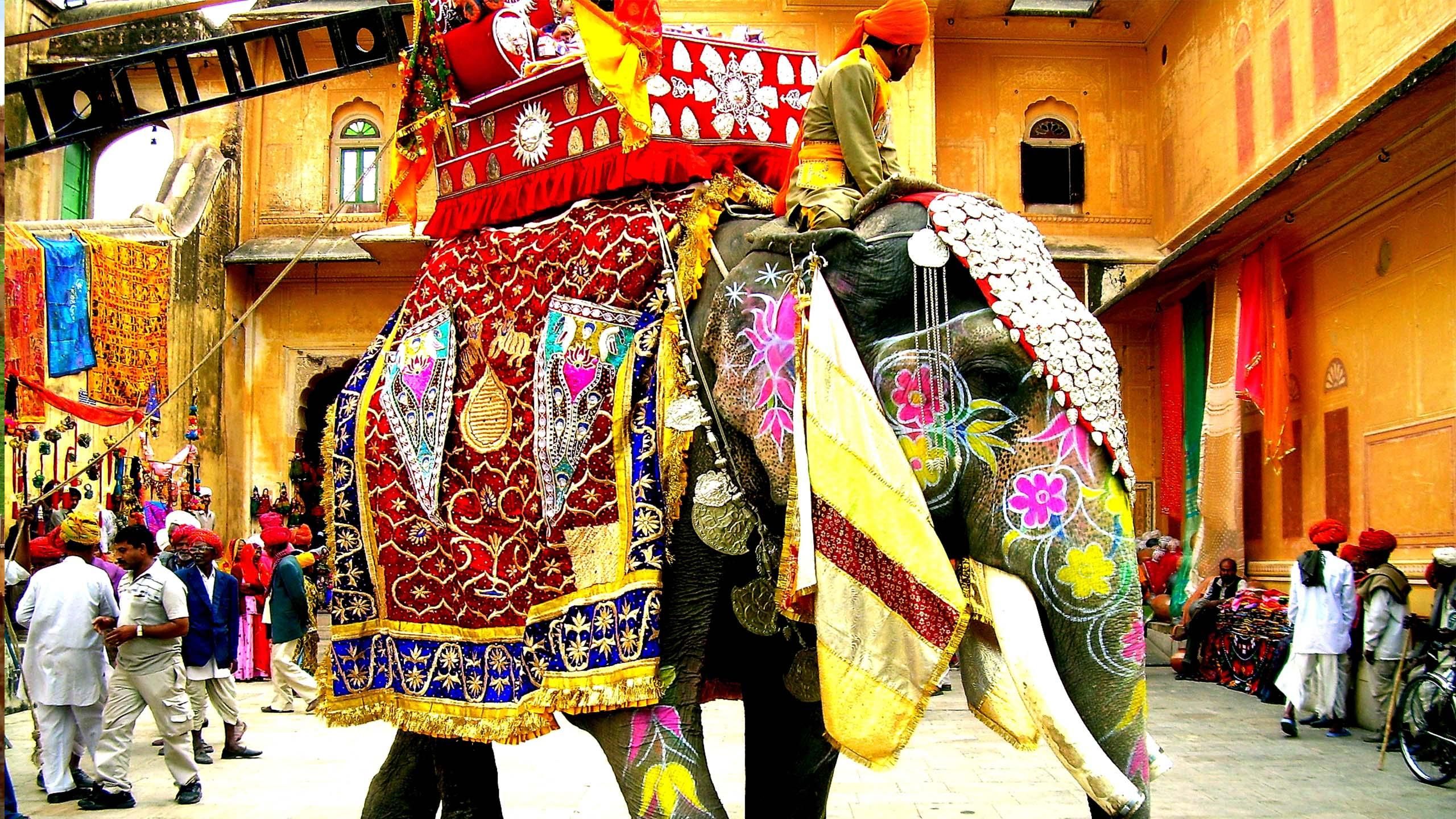 Rajasthani Culture Wallpaper HD Elephant Dressed Up