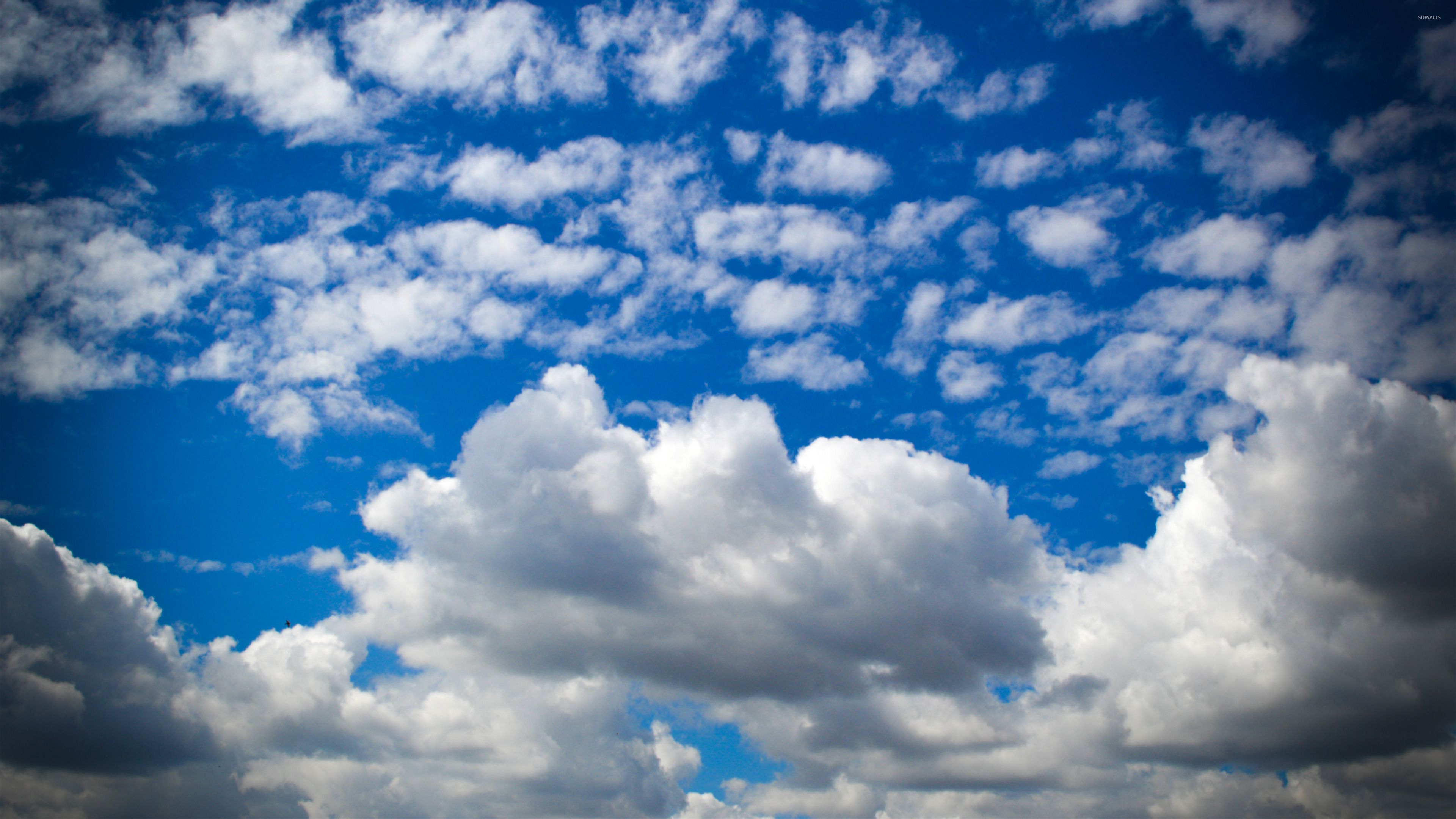 Blue Sky With Fluffy Clouds Wallpaper