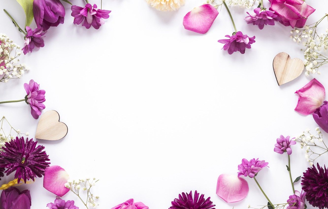 Wallpaper flowers, frame, petals, flowers, purple, petals, frame, floral image for desktop, section цветы