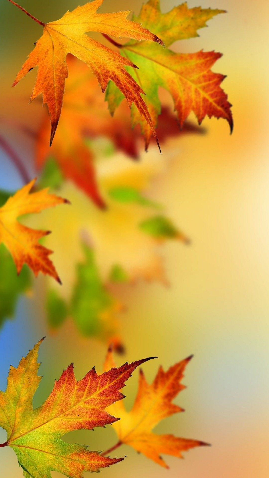 Autumn HD Wallpaper for iPhone 7
