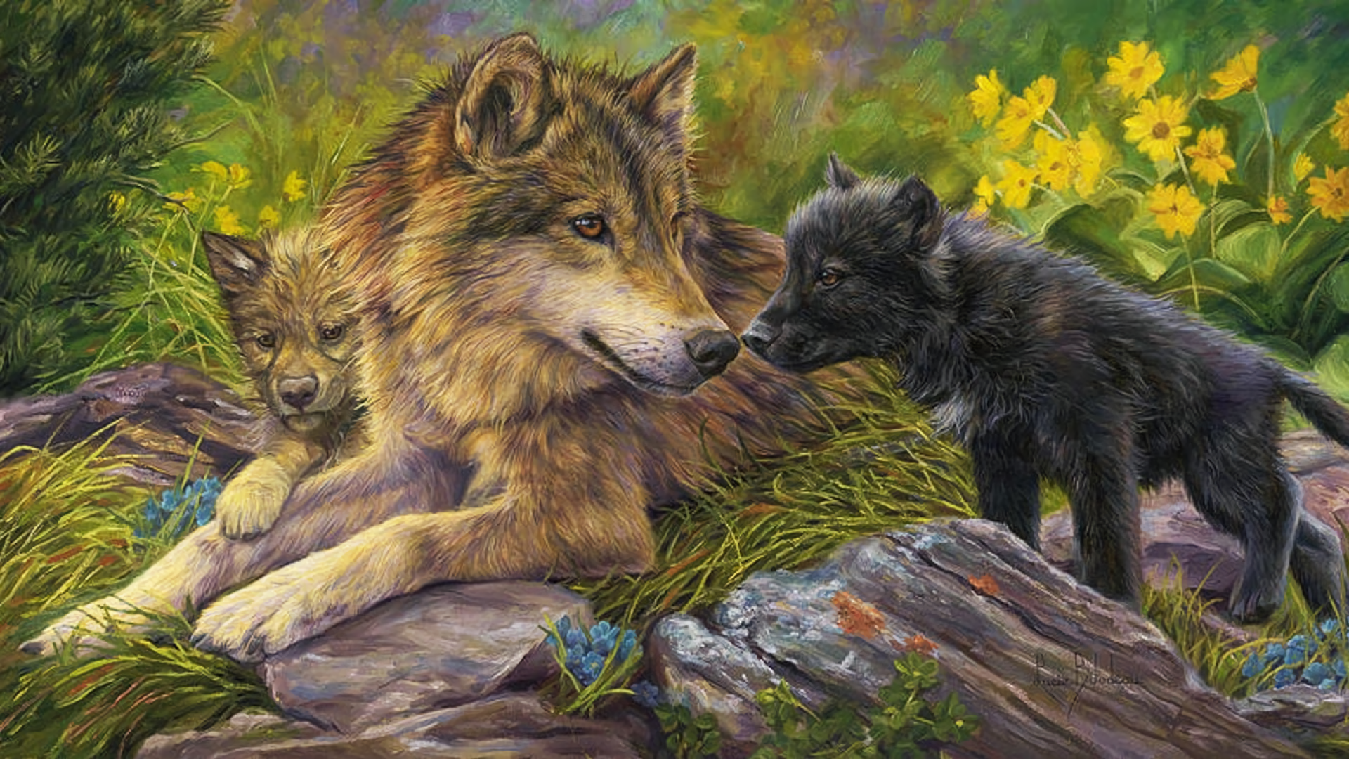 Wolf and Her Pups HD Wallpaper