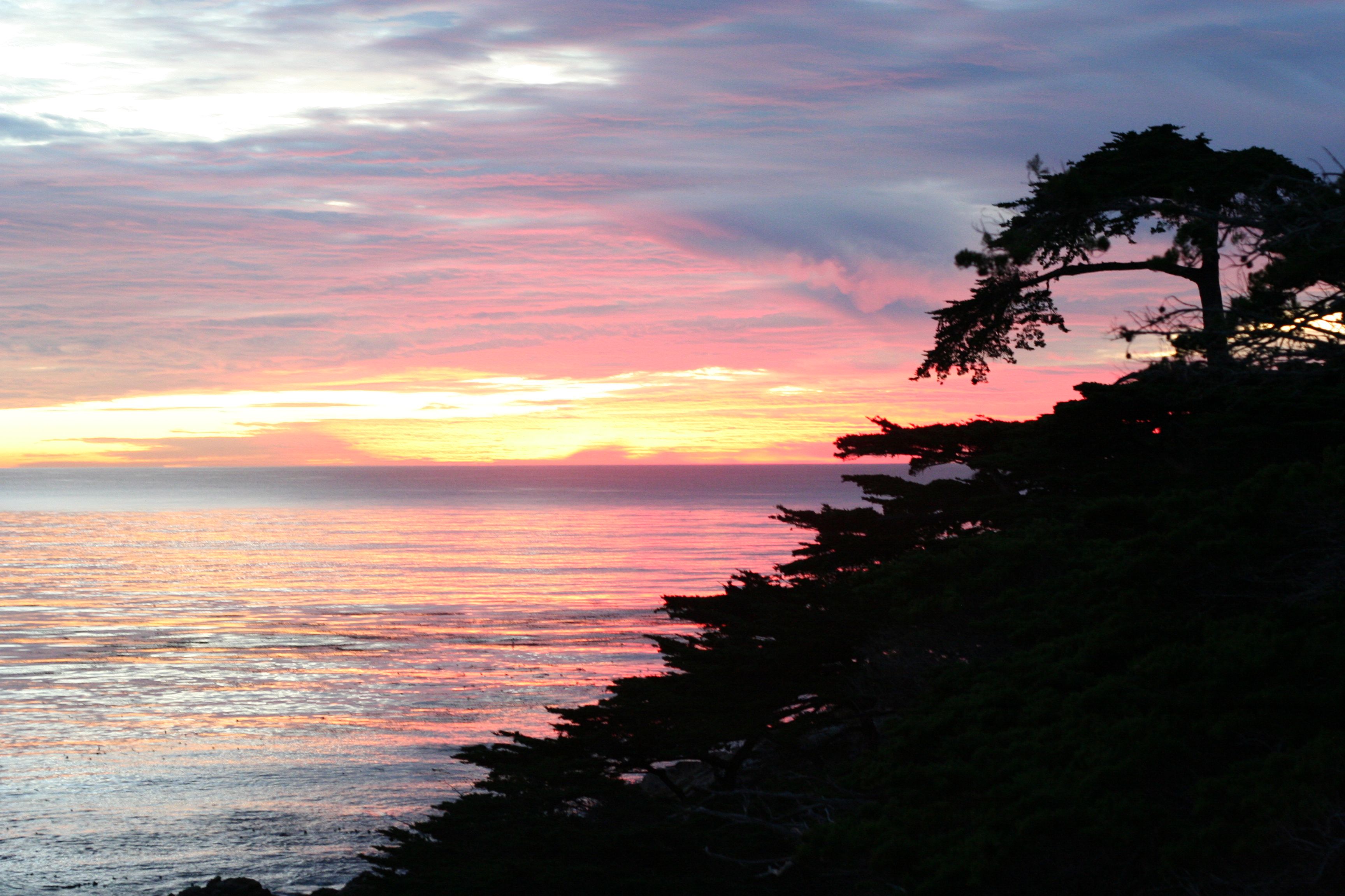 Ocean sunset or sunrise at The Lone Cypress point lookout, Pebble