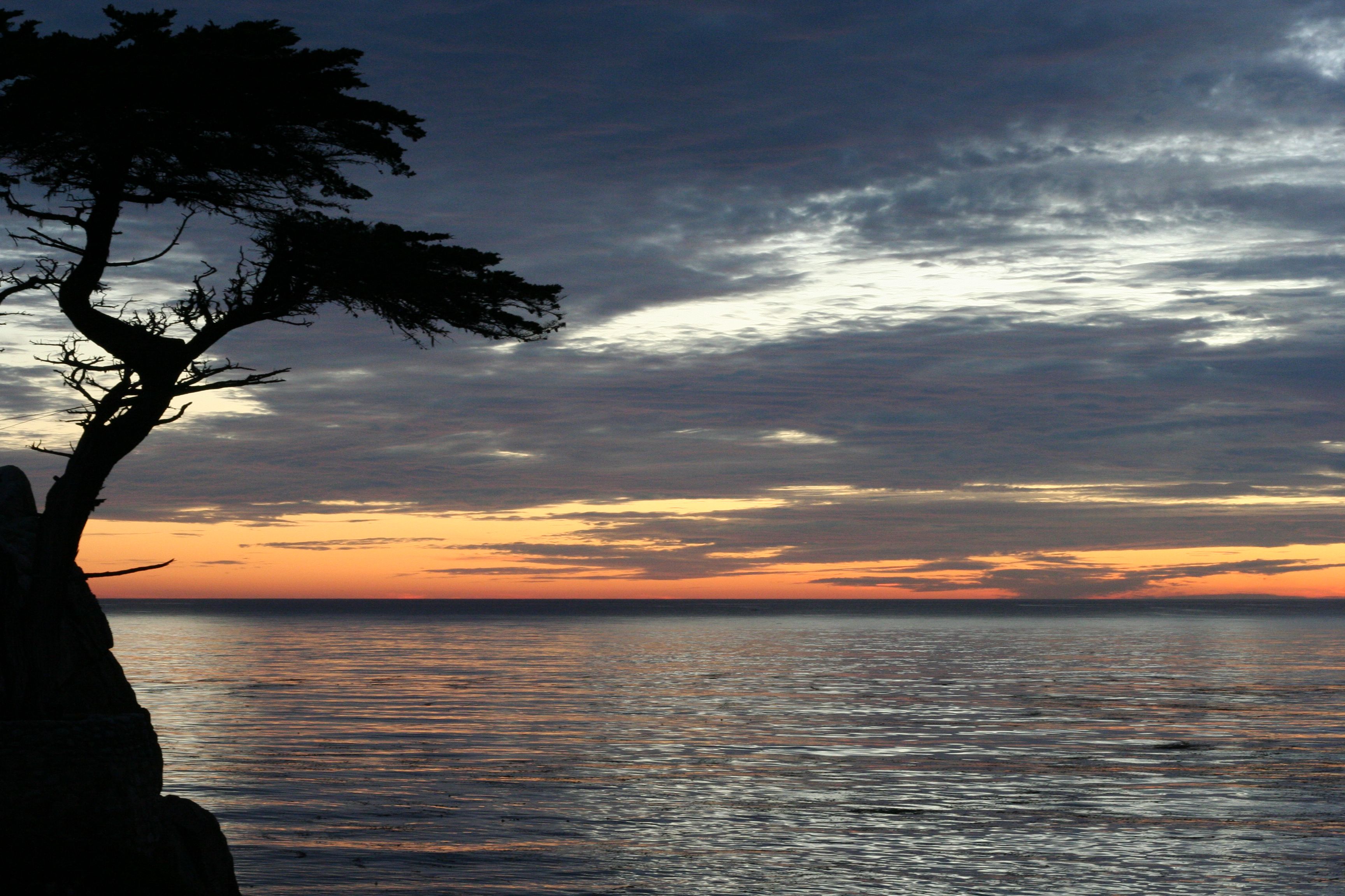 17 Mile Drive Wallpaper. Holidays 2017