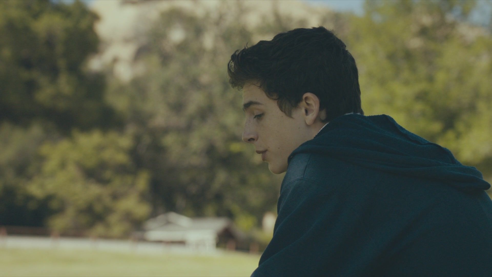 Screen Captures MS793ée Chalamet Fan. Photo