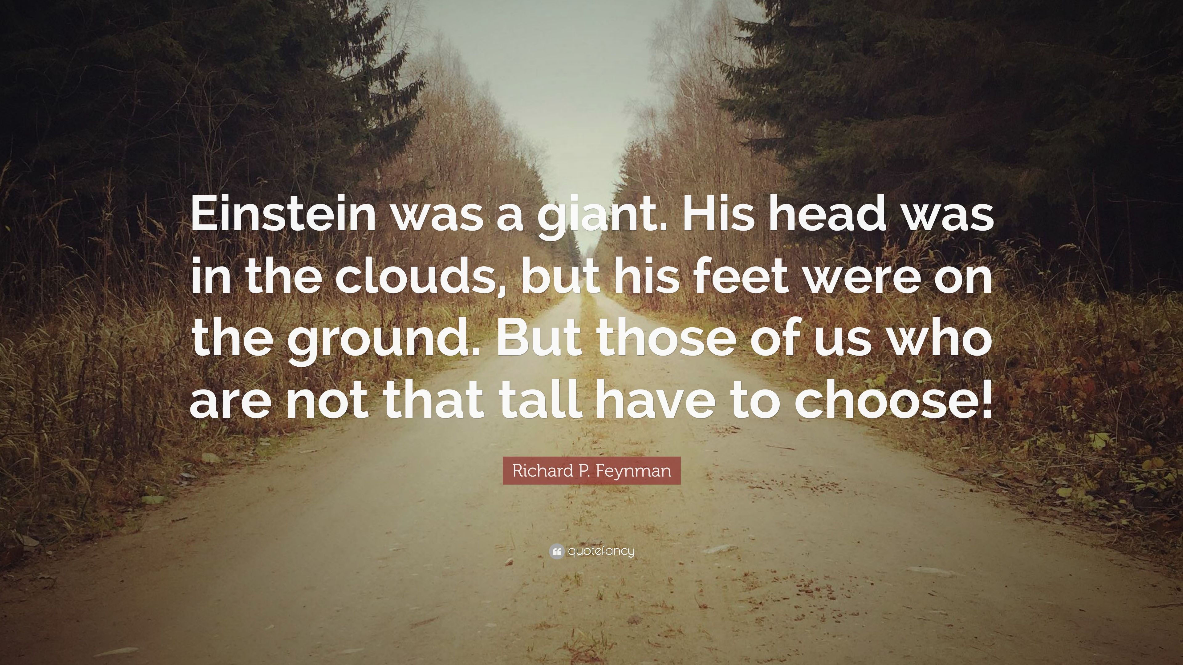 Richard P. Feynman Quote: “Einstein was a giant. His head was