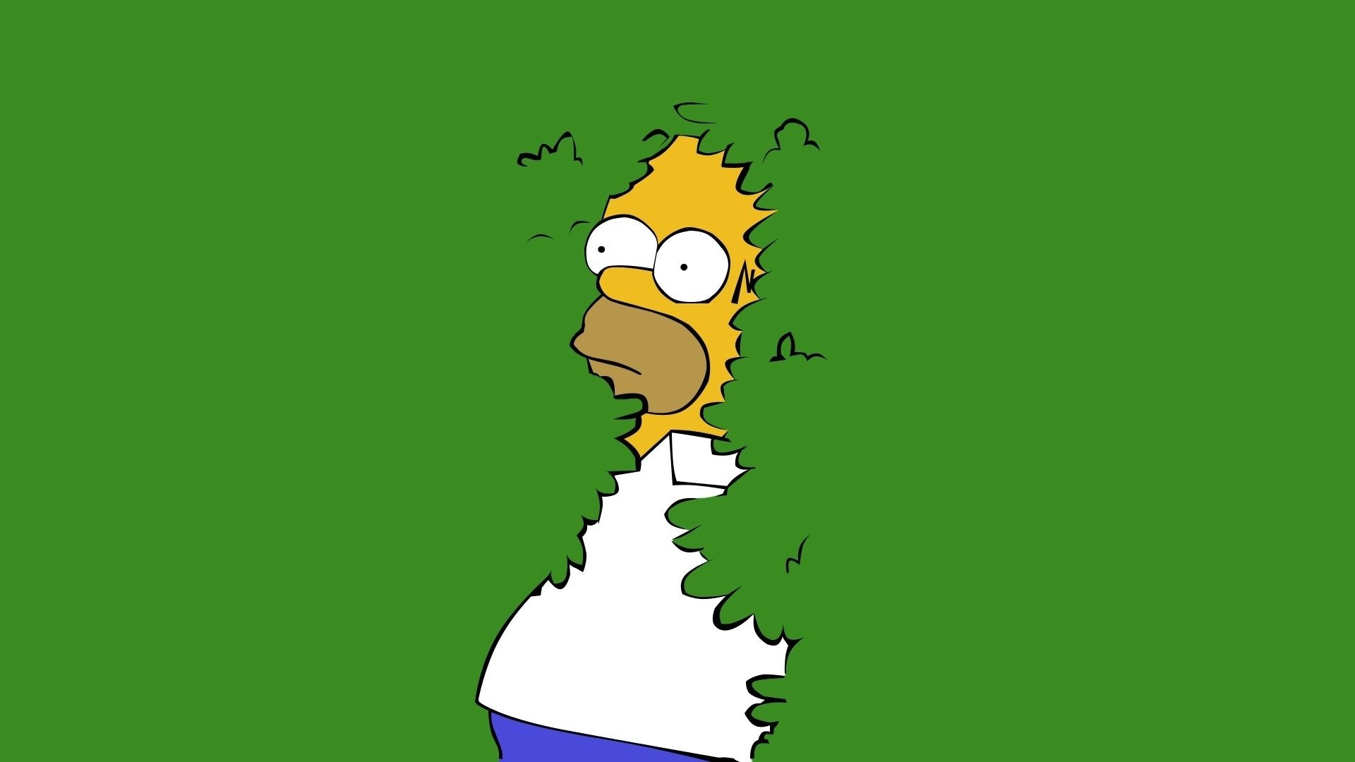 Los Mejores Fondos De Pantalla De Homero Simpson Images