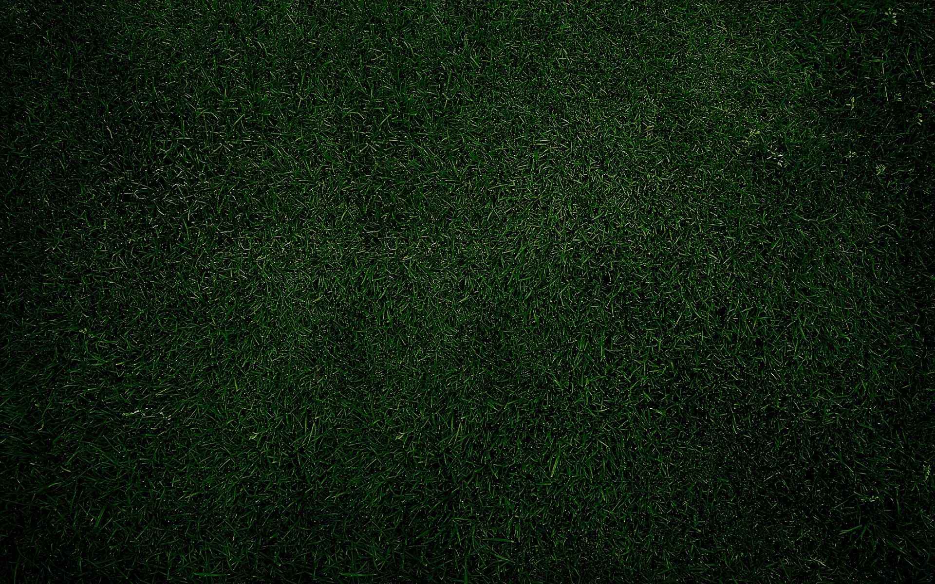 Free download Green grass plain desktop HD wallpaper HD Wallpaper