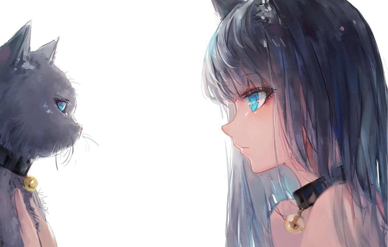 Wallpaper white background, collar, blue eyes, black cat, ears