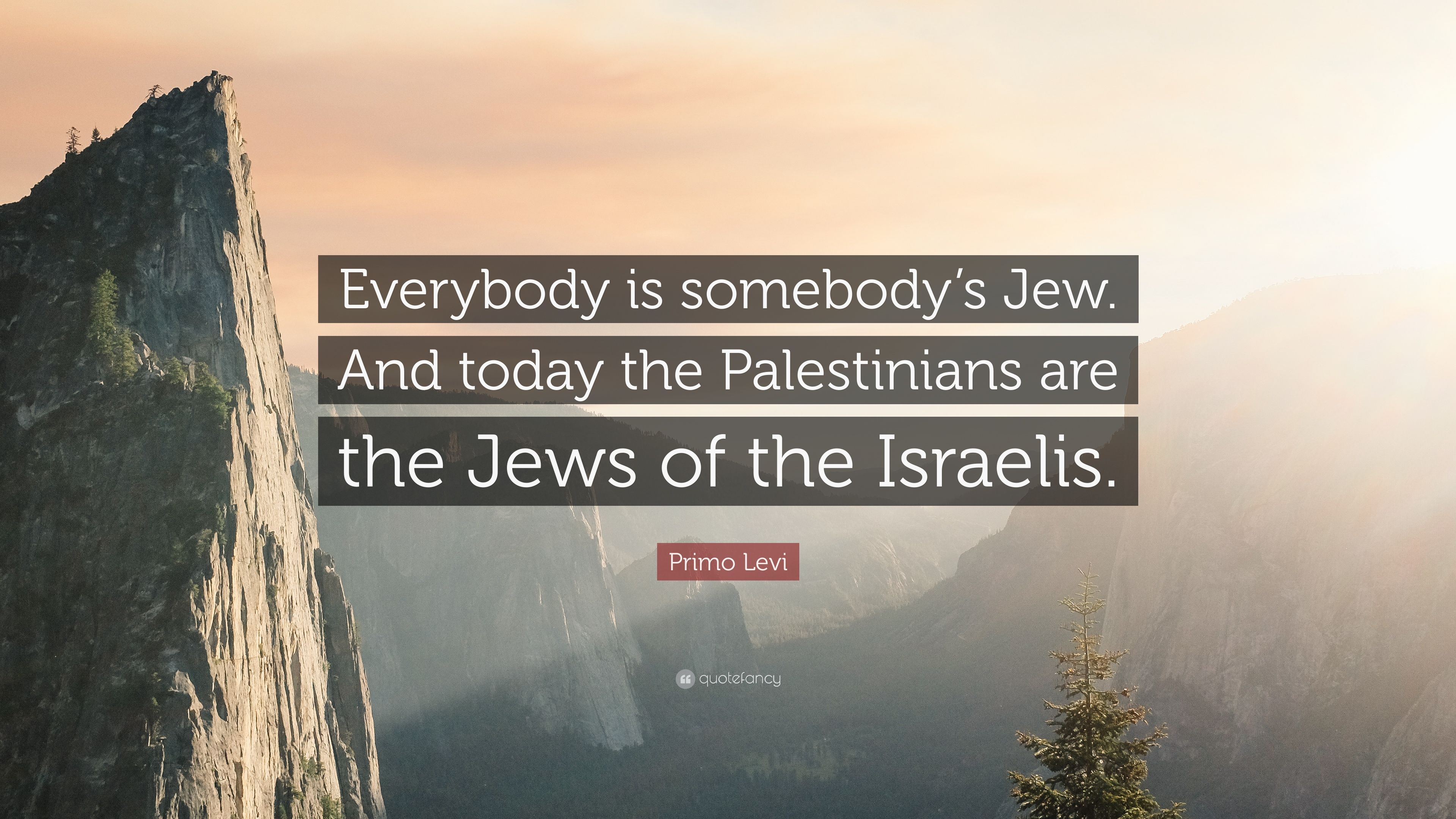 Primo Levi Quote: “Everybody is somebody's Jew. And today