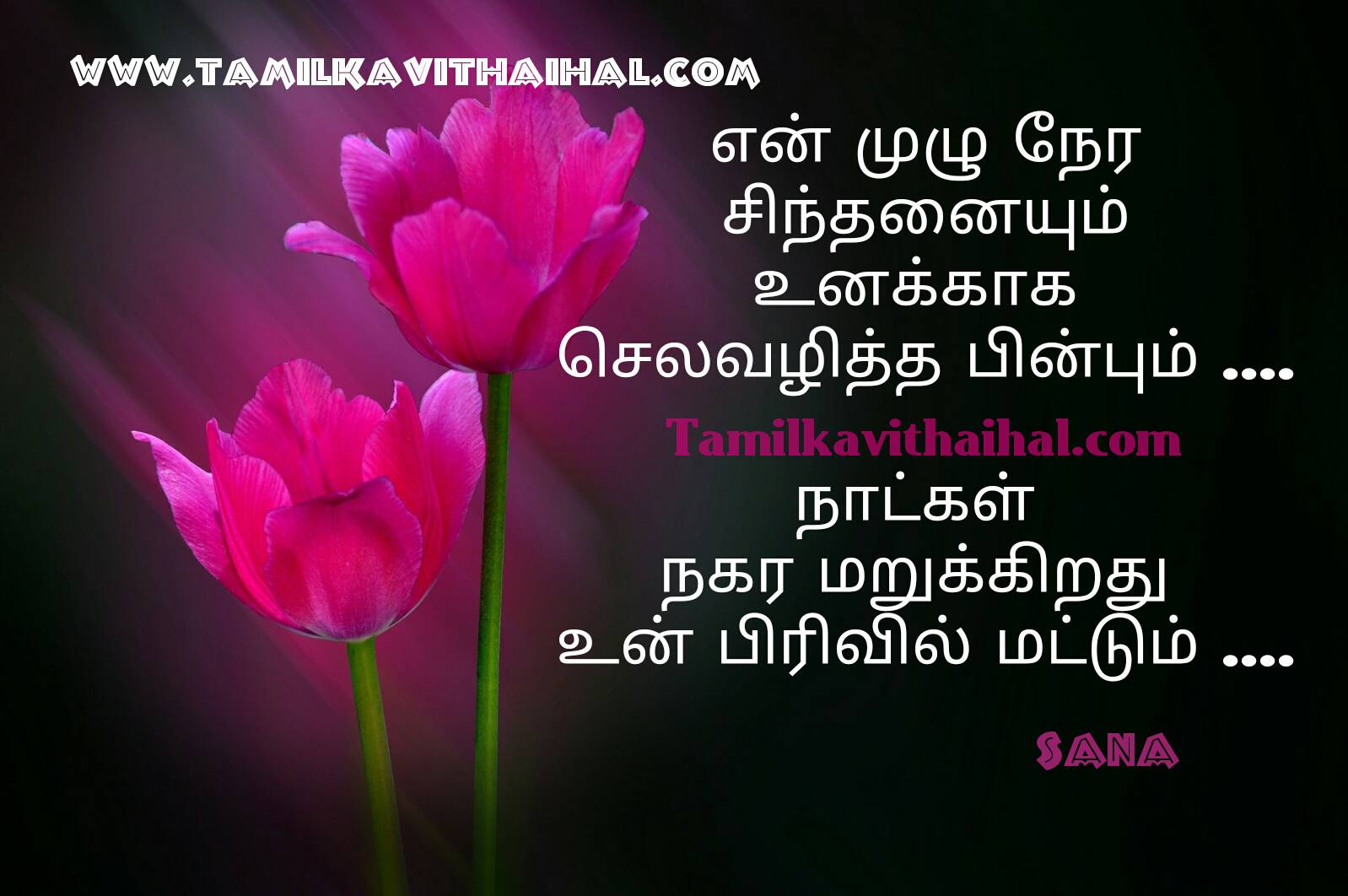 Real Life Love Quotes In Tamil With Pain Kavithai For