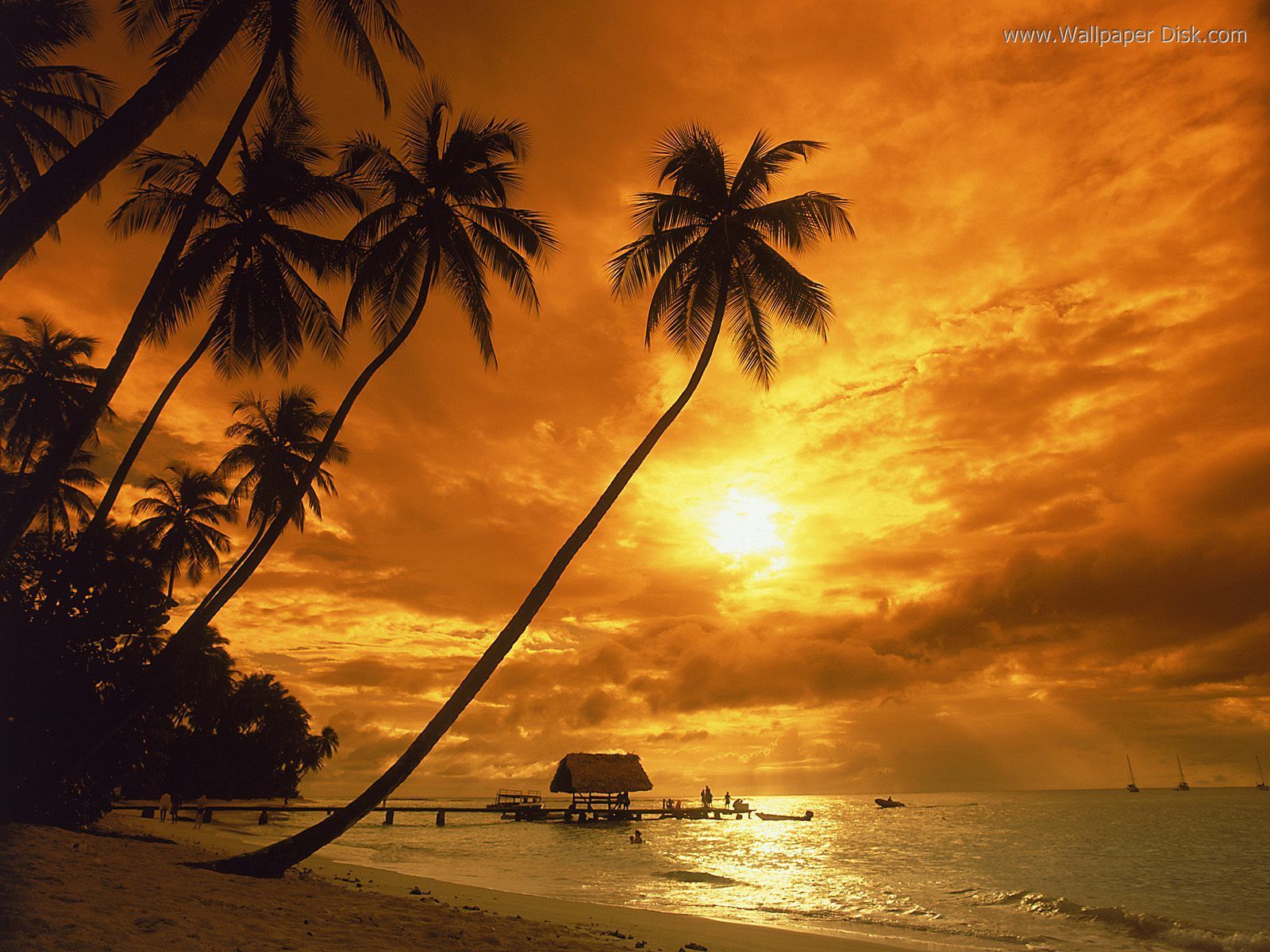 Free download Best Night time on beach desktop wallpaper