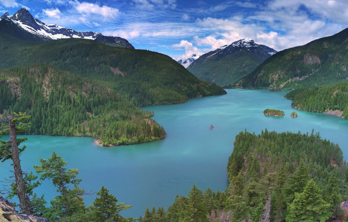 Wallpaper forest, mountains, lake, panorama, Washington