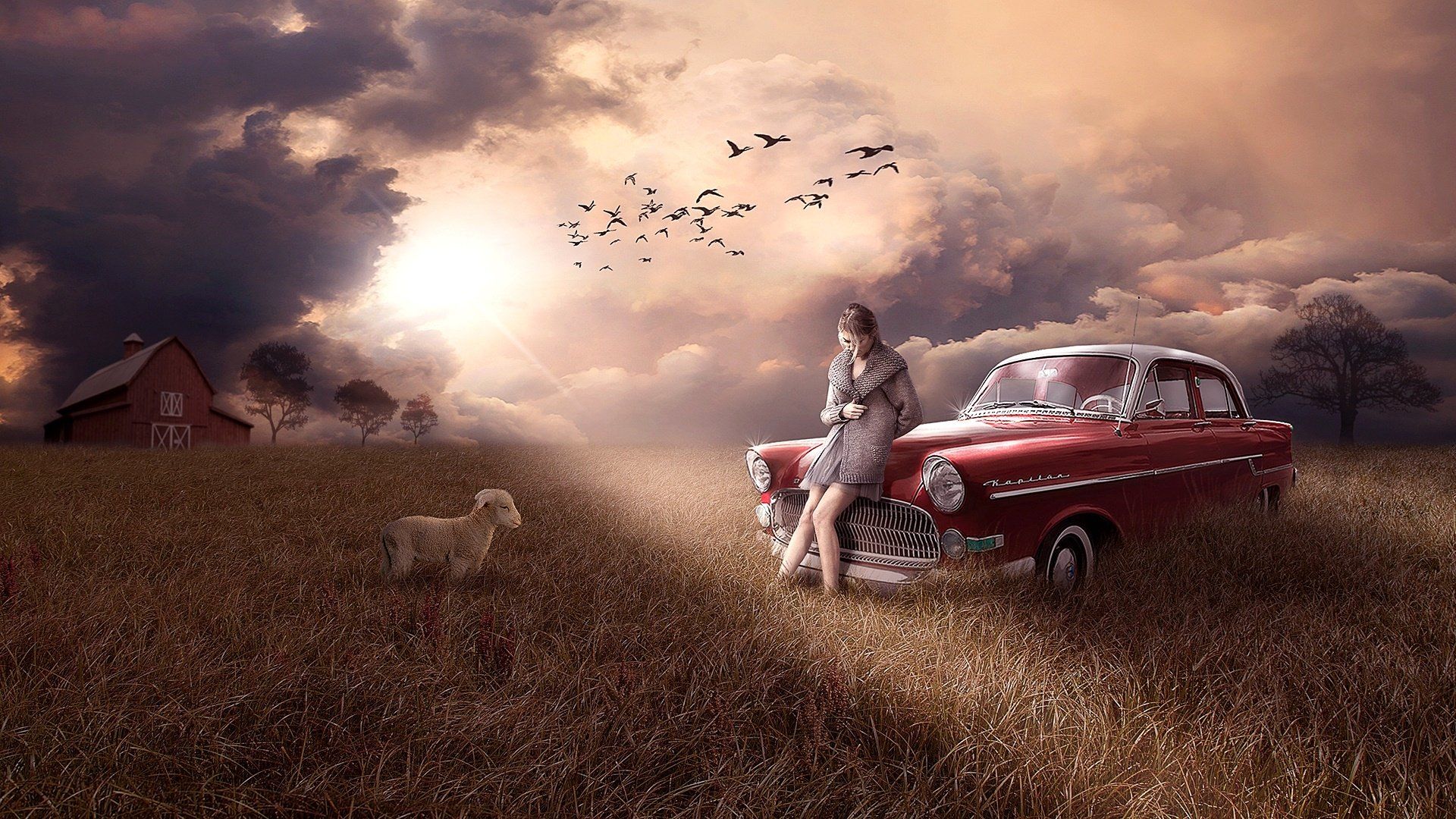 Sad Woman and lamb HD Wallpaper. Background Imagex1080