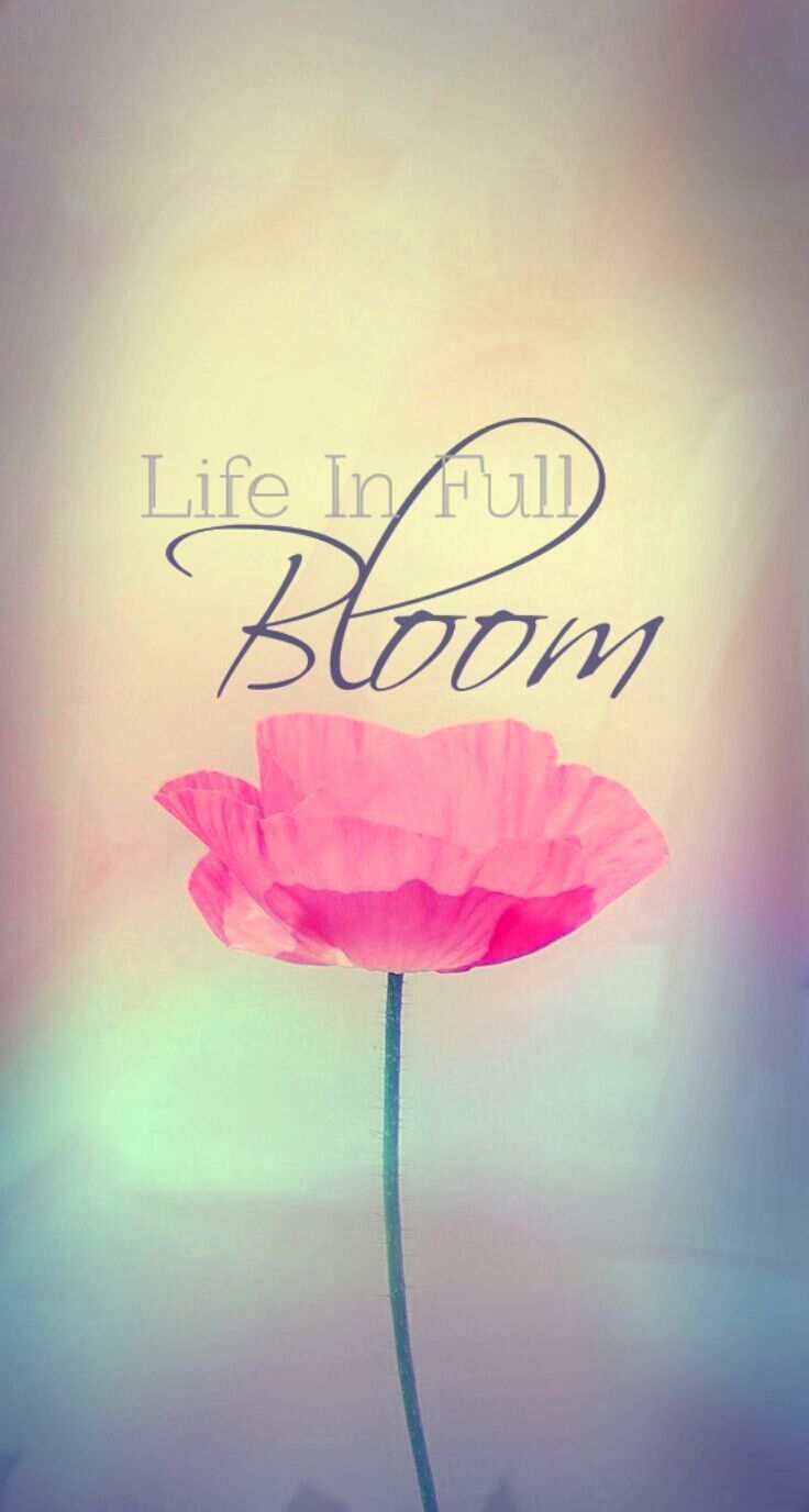 Life in Bloom phone wallpaper. iPad mini wallpaper, Cute