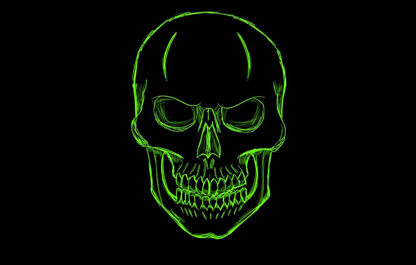 Wallpaper green, skull, minimalism, head, skeleton, sake image
