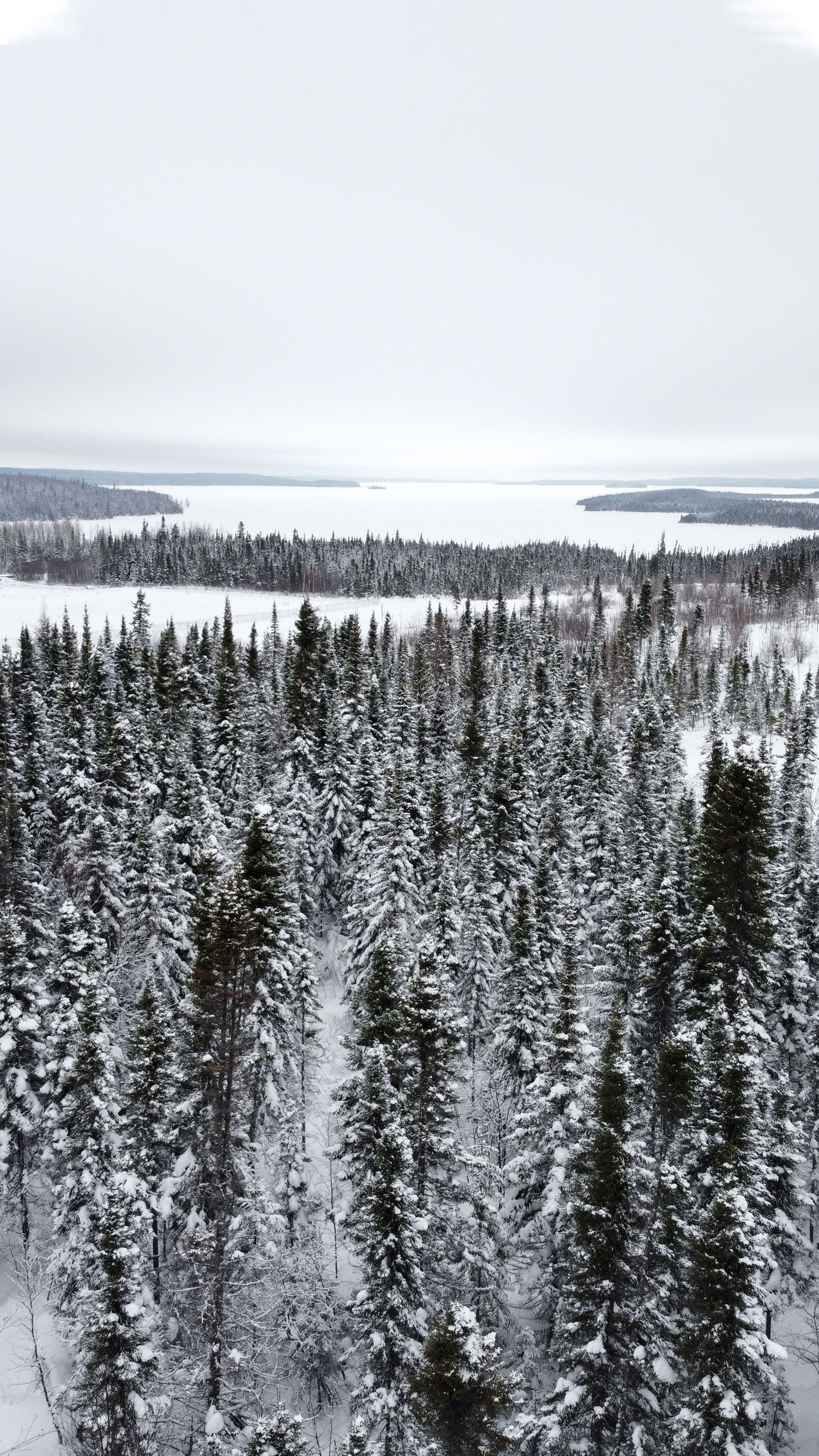 My new phone wallpaper thanks to the Mavic Mini