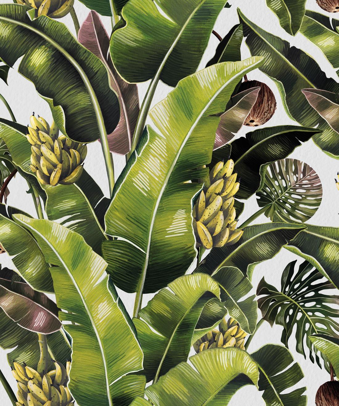 Kingdom Palm Wallpaper • Banana Leaf