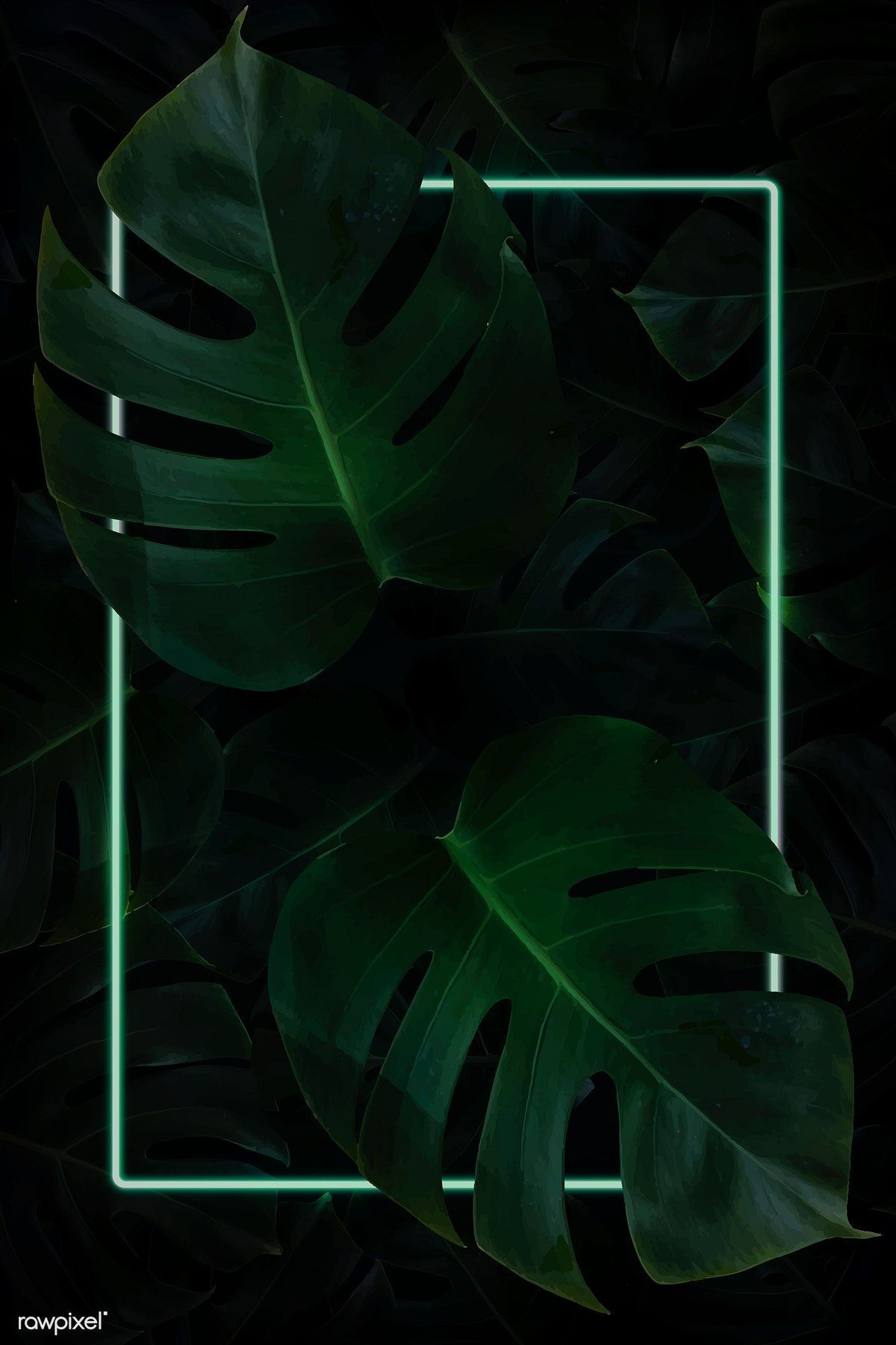 Download premium vector of Rectangle green neon frame on tropical