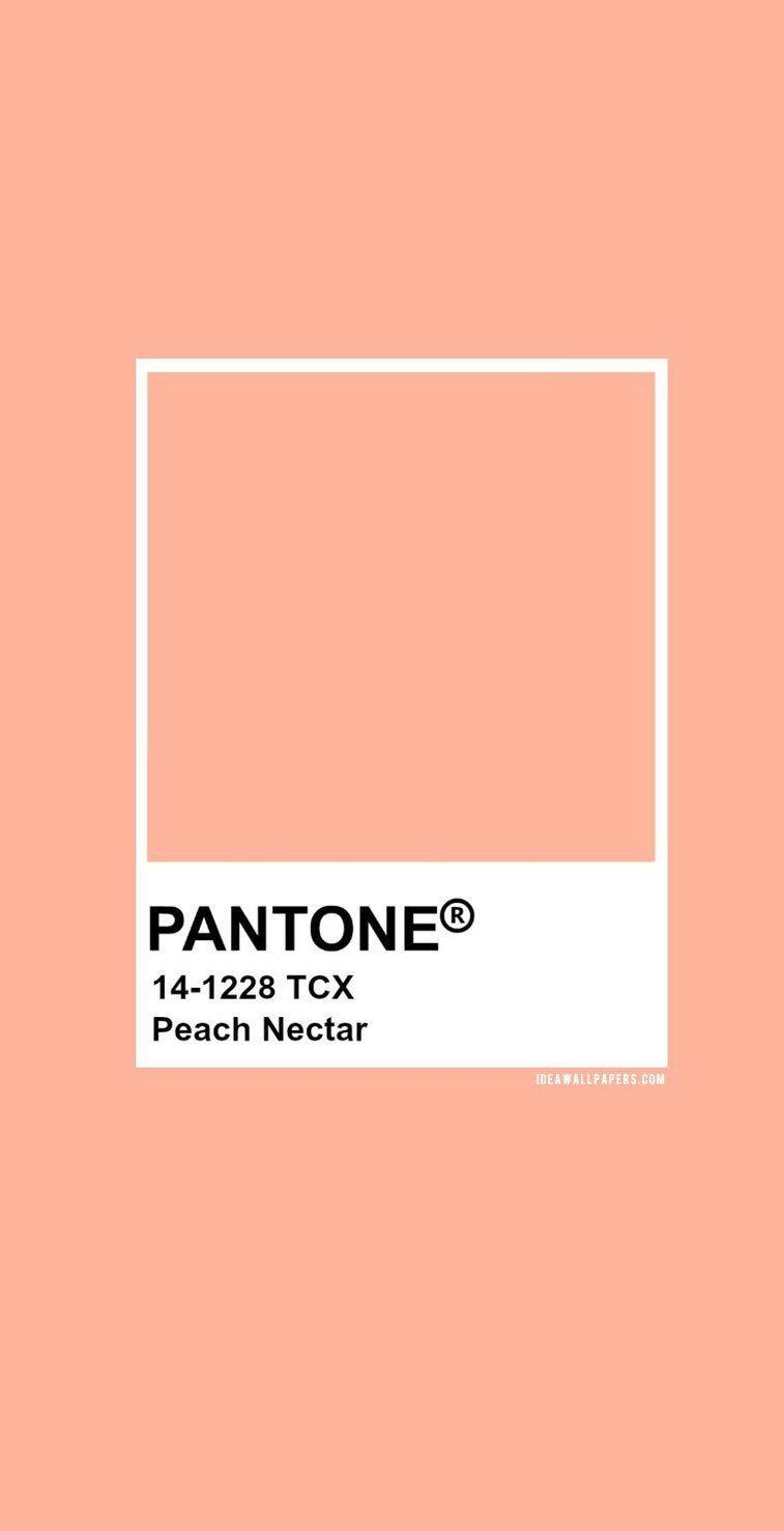 Pantone Peach Nectar, Pantone 14 1228. Peach Aesthetic, Peach