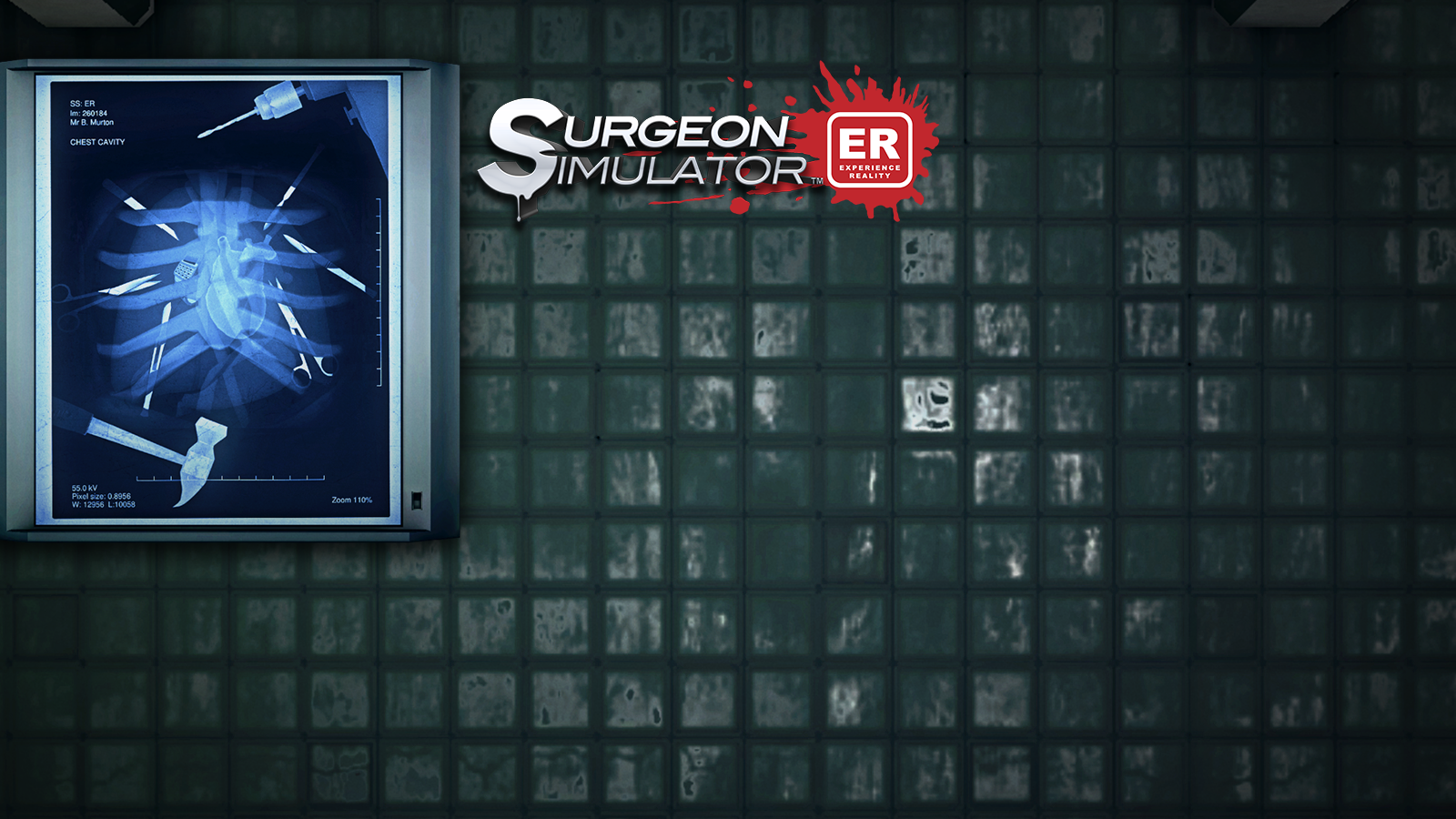 Surgeon Simulator: Experience Reality Game