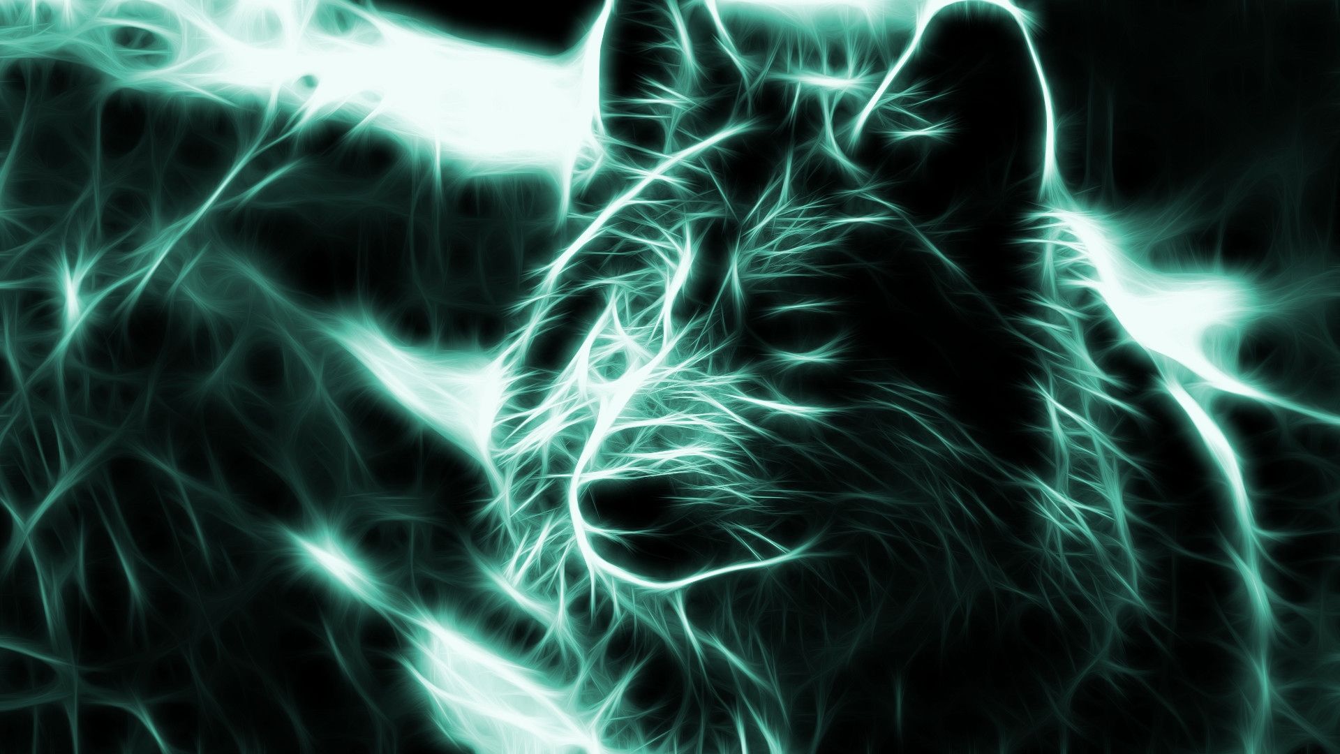 Neon Wolf Wallpaper New Neon Wolf Wallpaper 54 Image Of the Day