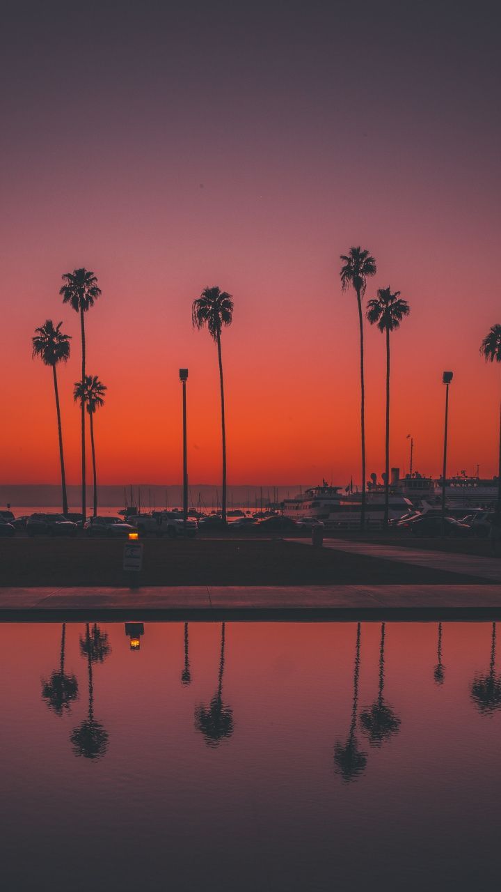 Palms, trees, sunset, San Diego, 720x1280 wallpaper. Sky