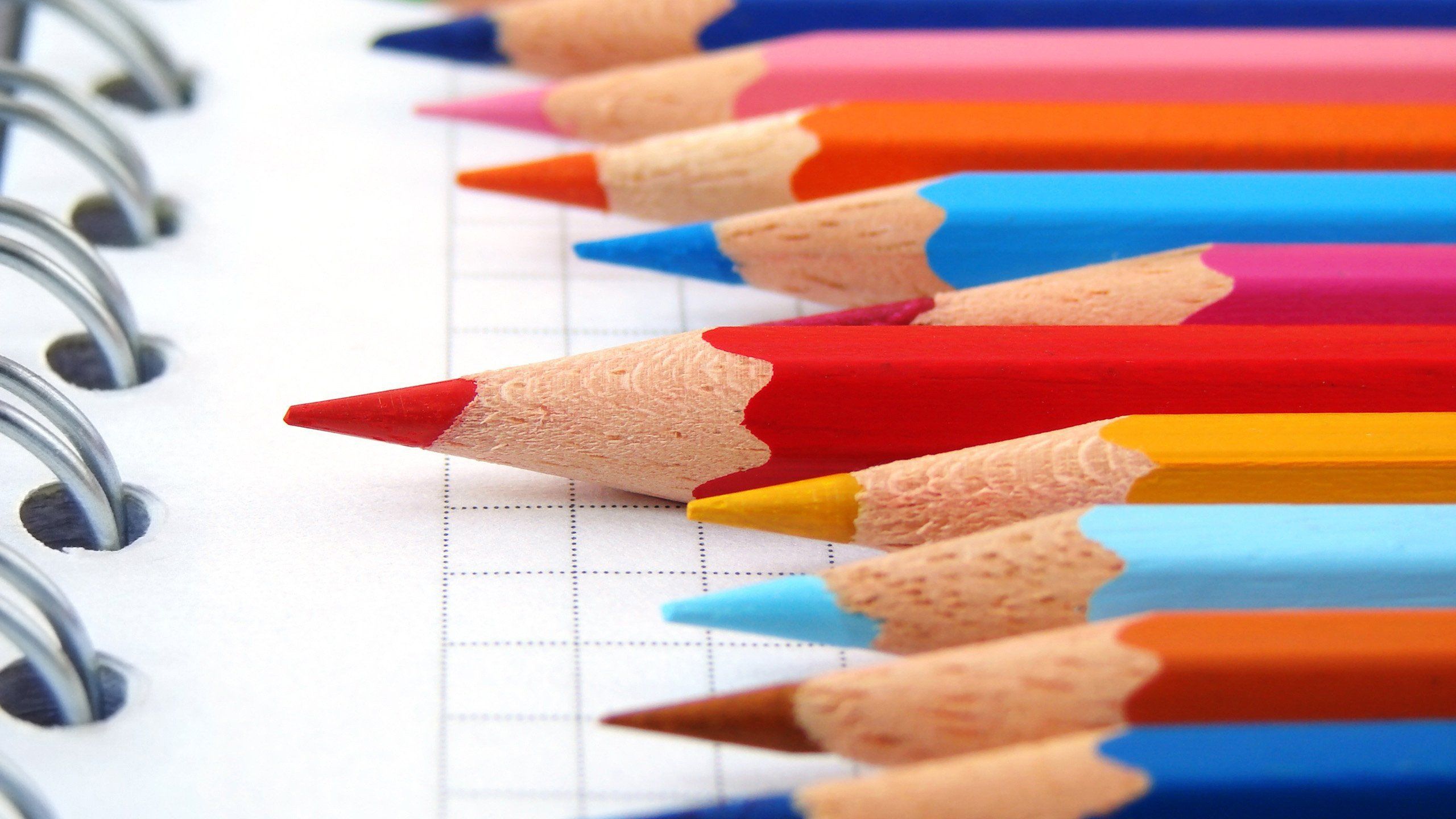 macro, Pencils, Colorful, Paper HD Wallpaper / Desktop and Mobile