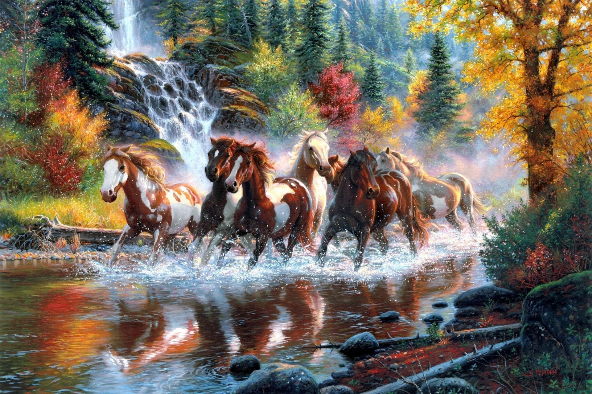 Horses The Horses Waterfall Forest Autumn River By Horse