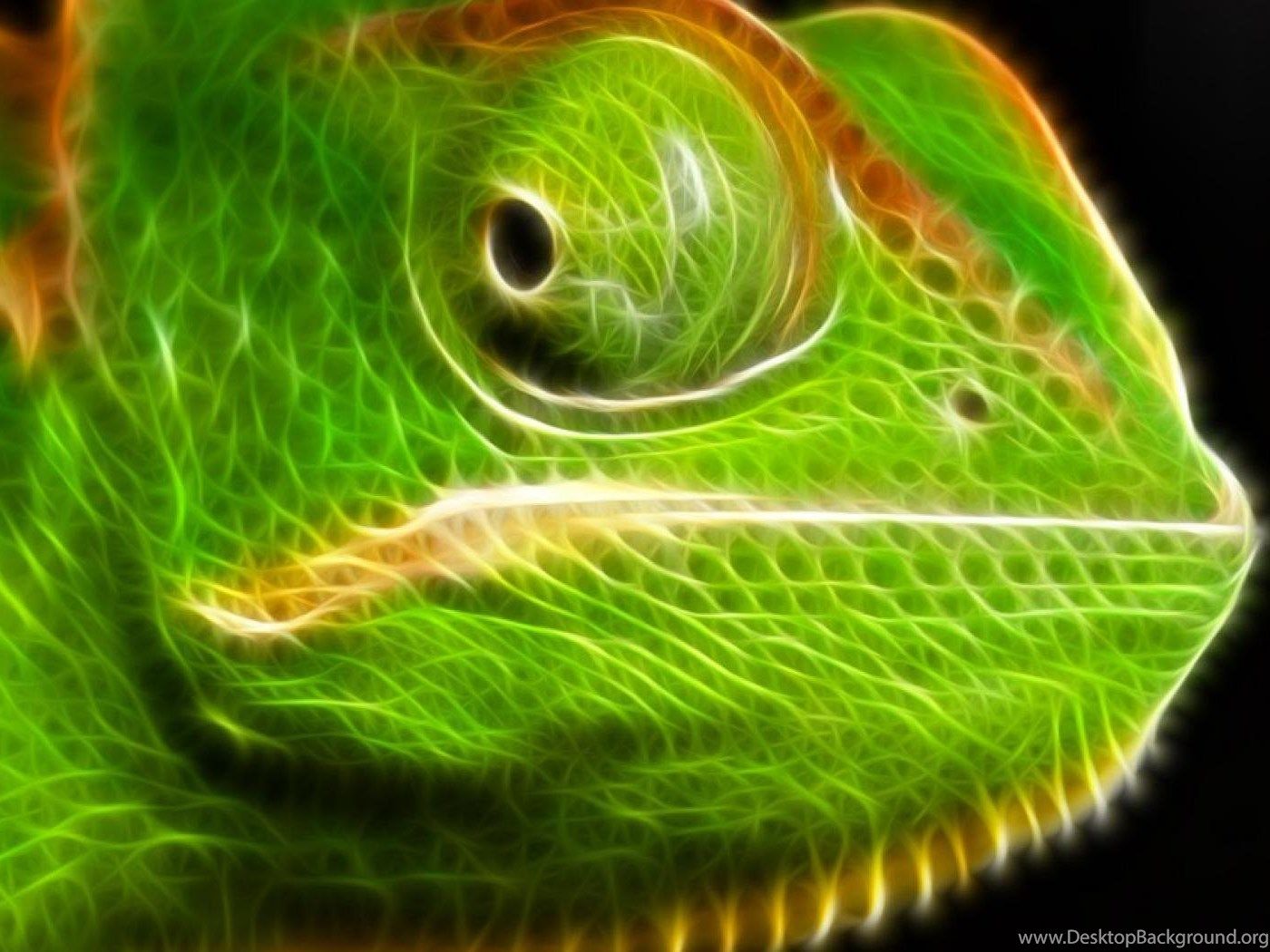 Chameleon Eye HD Wallpapers - Wallpaper Cave