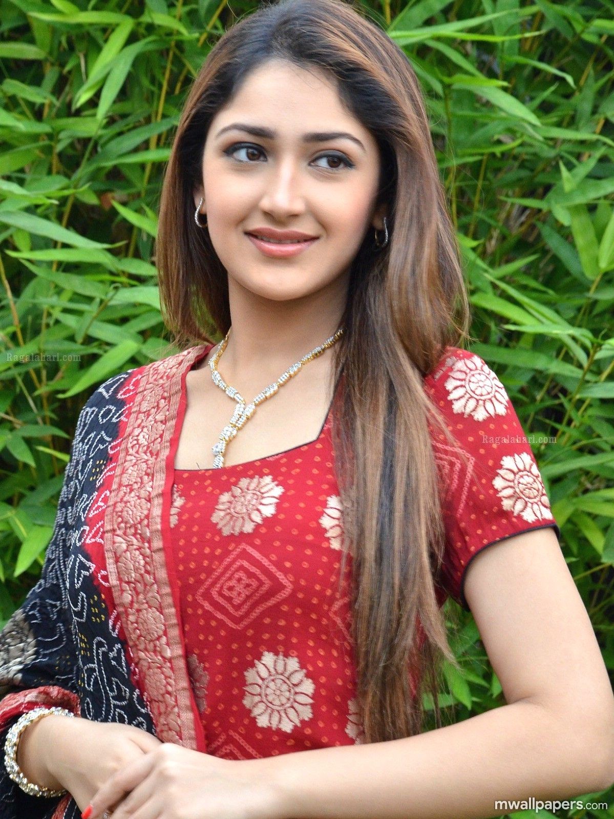 Sayesha Saigal Wallpapers  Wallpaper Cave