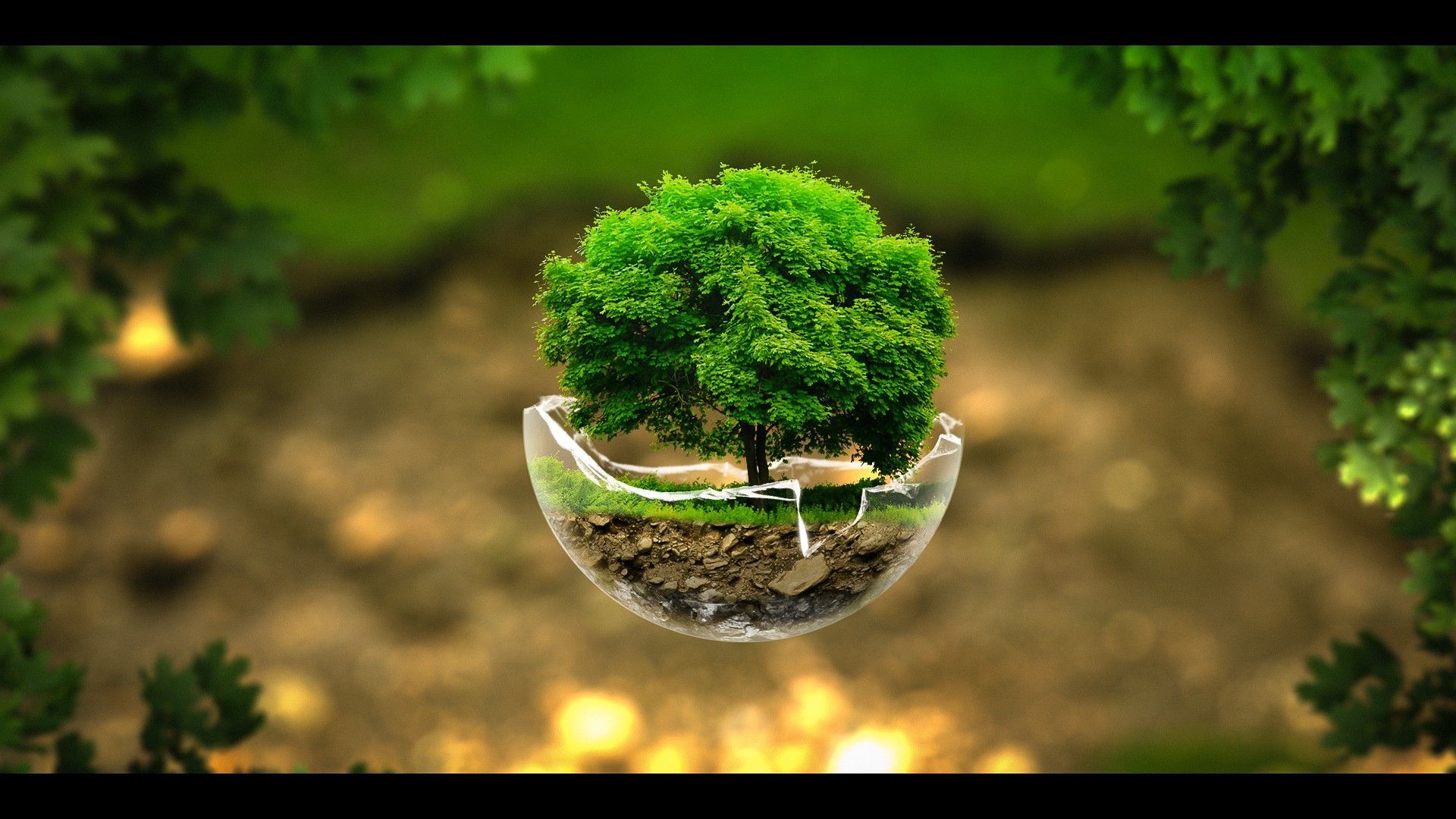 Free download Nature Sphere HD Wallpaper FullHDWpp Full HD