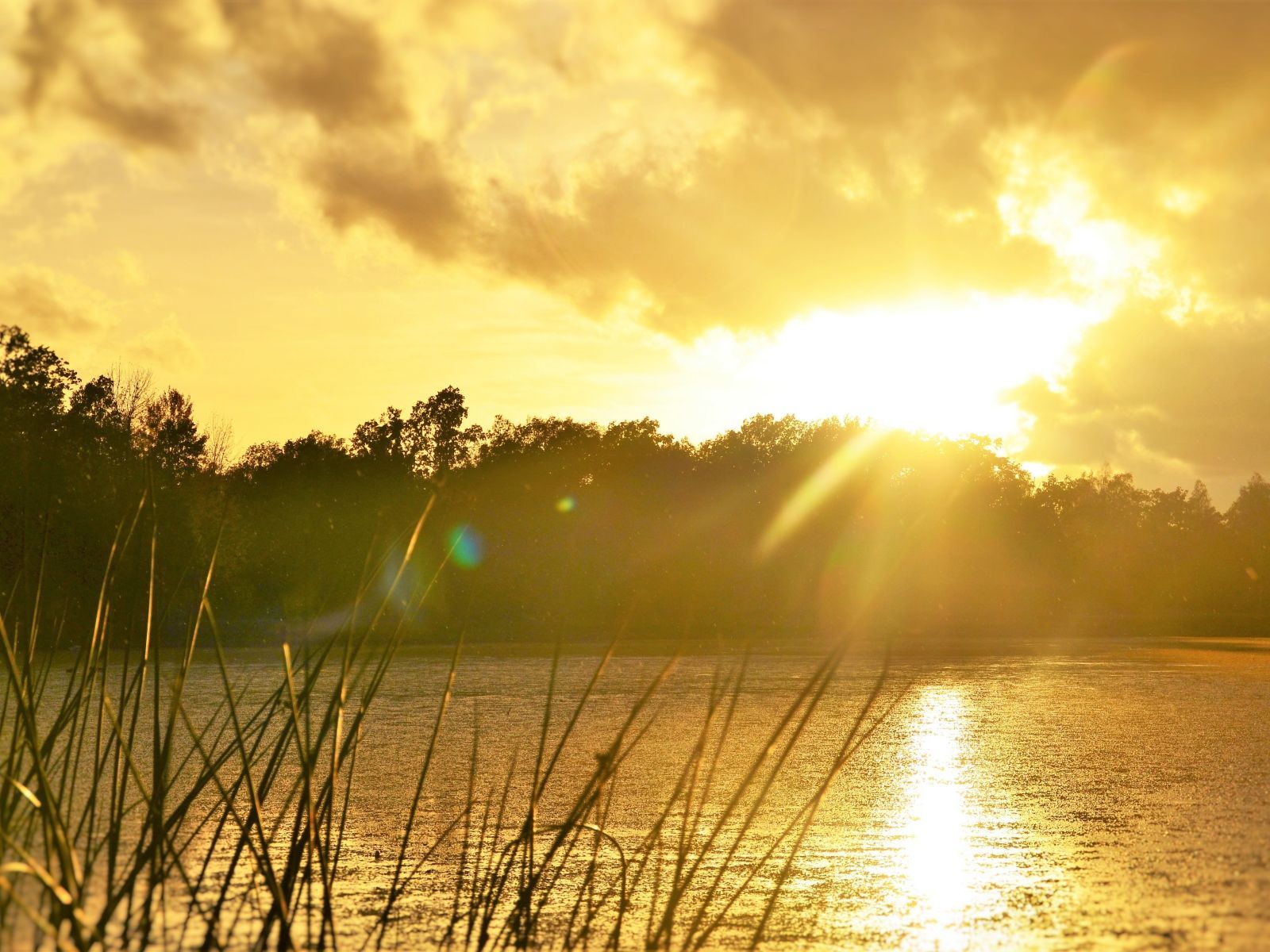 Sunrise over a forest lake Desktop wallpaper 1600x1200