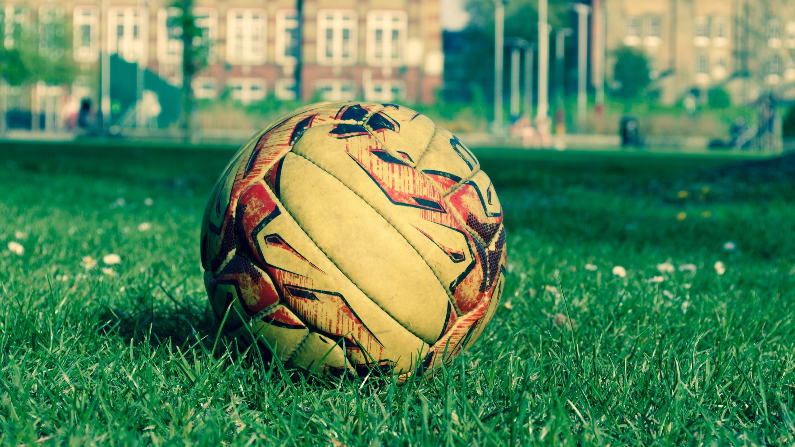 Download wallpaper 2560x1440 soccer ball, field, grass, lawn