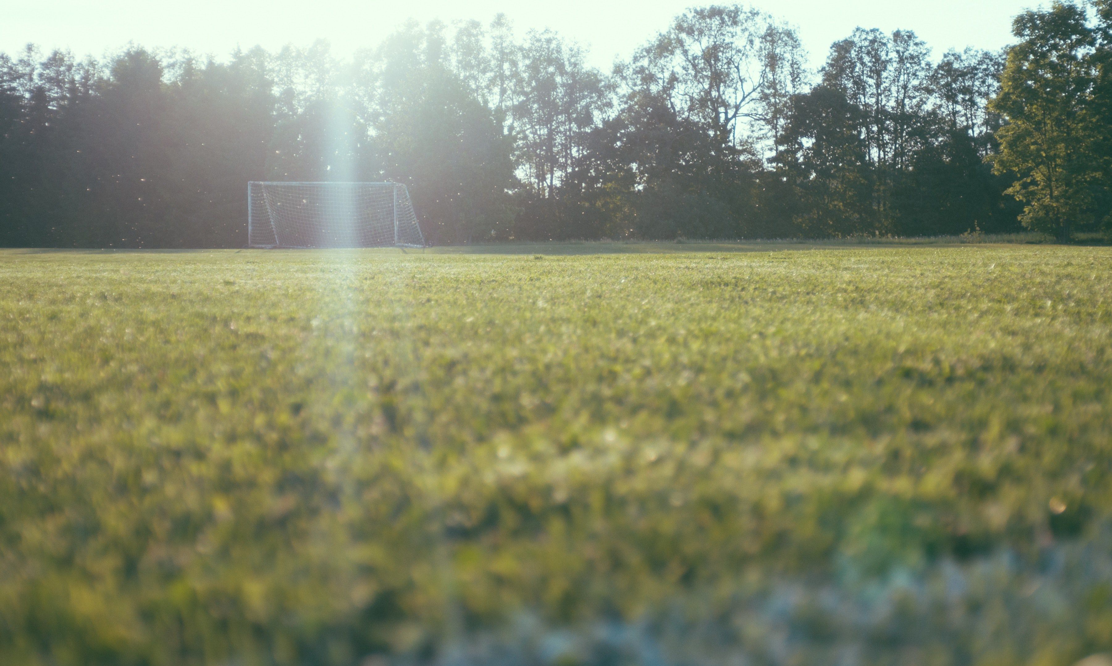 low angle view of a green grass field with a soccer goal by