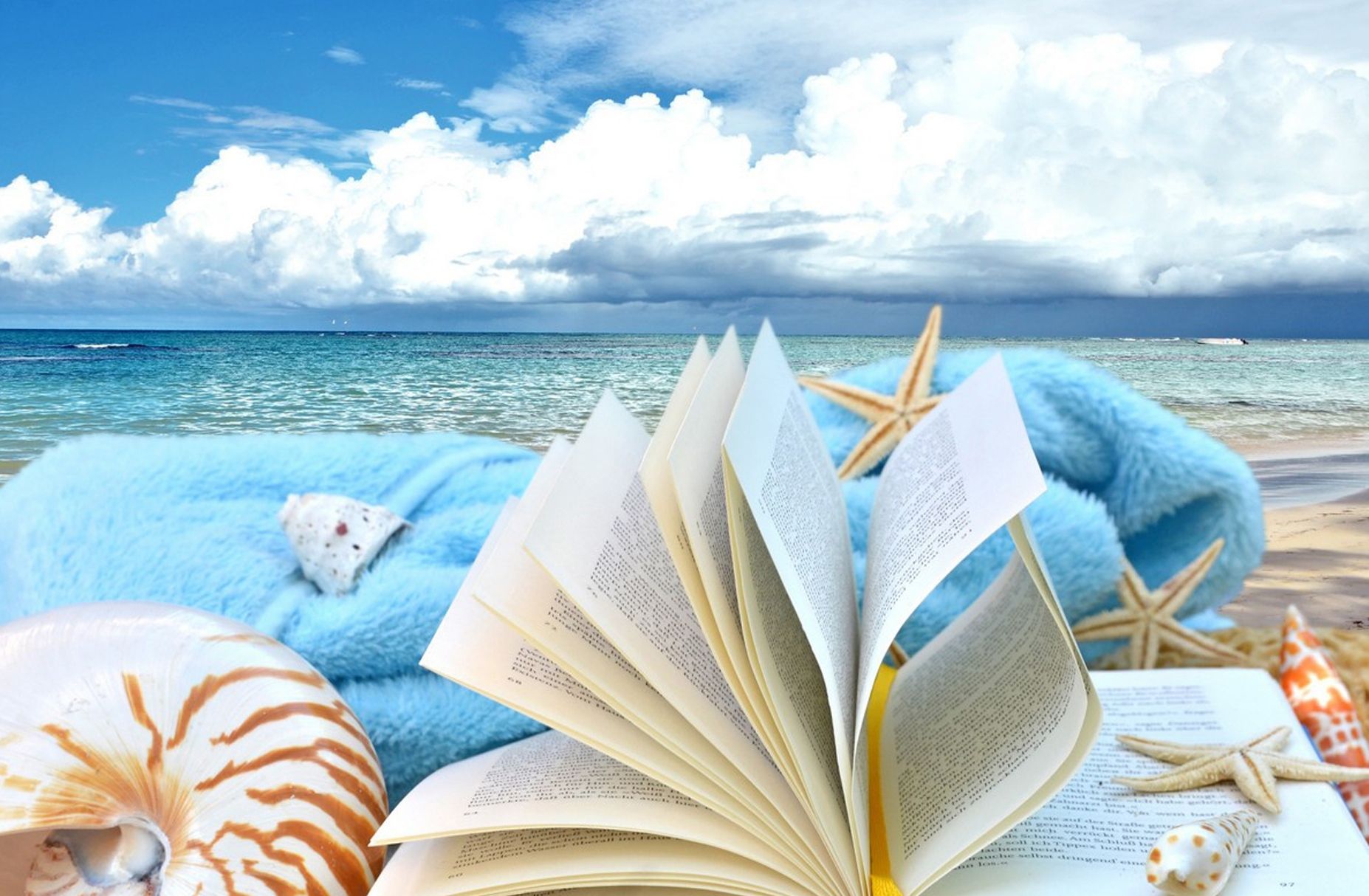 seashells, shells, sky, clouds, summer, nature, Book wallpaper