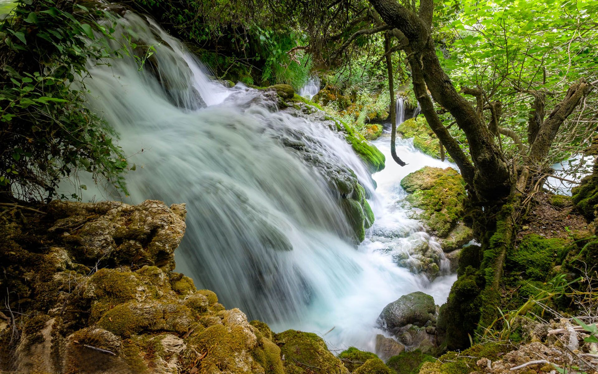 Plitvice Small Waterfall On The River Krka National Park Croatia
