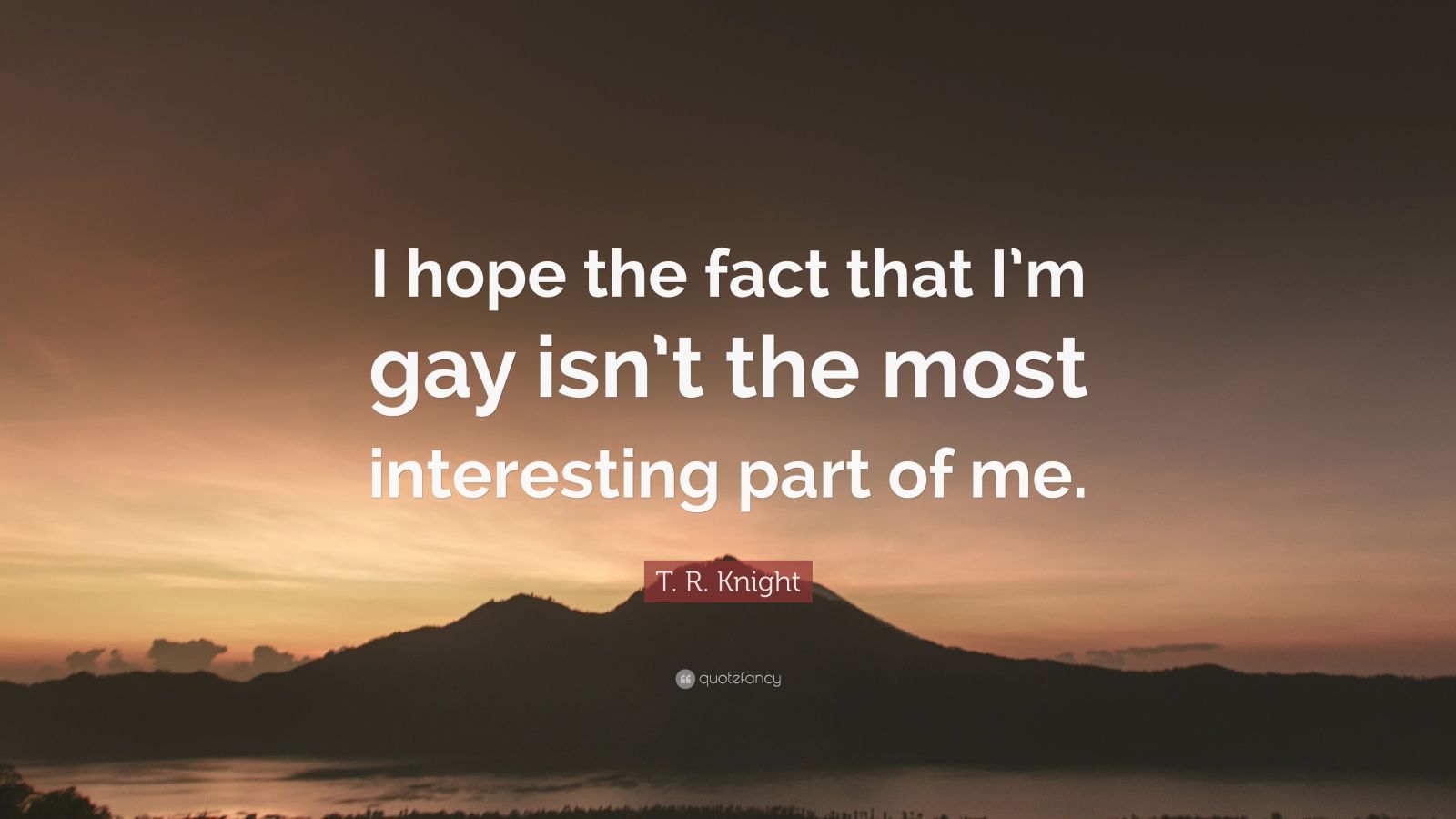 T. R. Knight Quote: “I hope the fact that I'm gay isn't the most