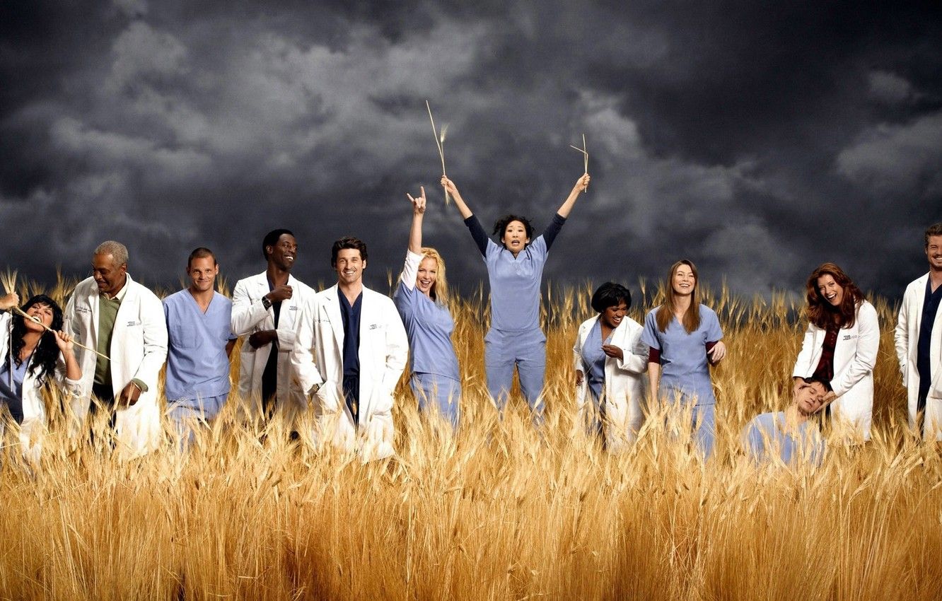 Wallpaper joy, Katherine Heigl, actors, Grey's Anatomy, Grey's