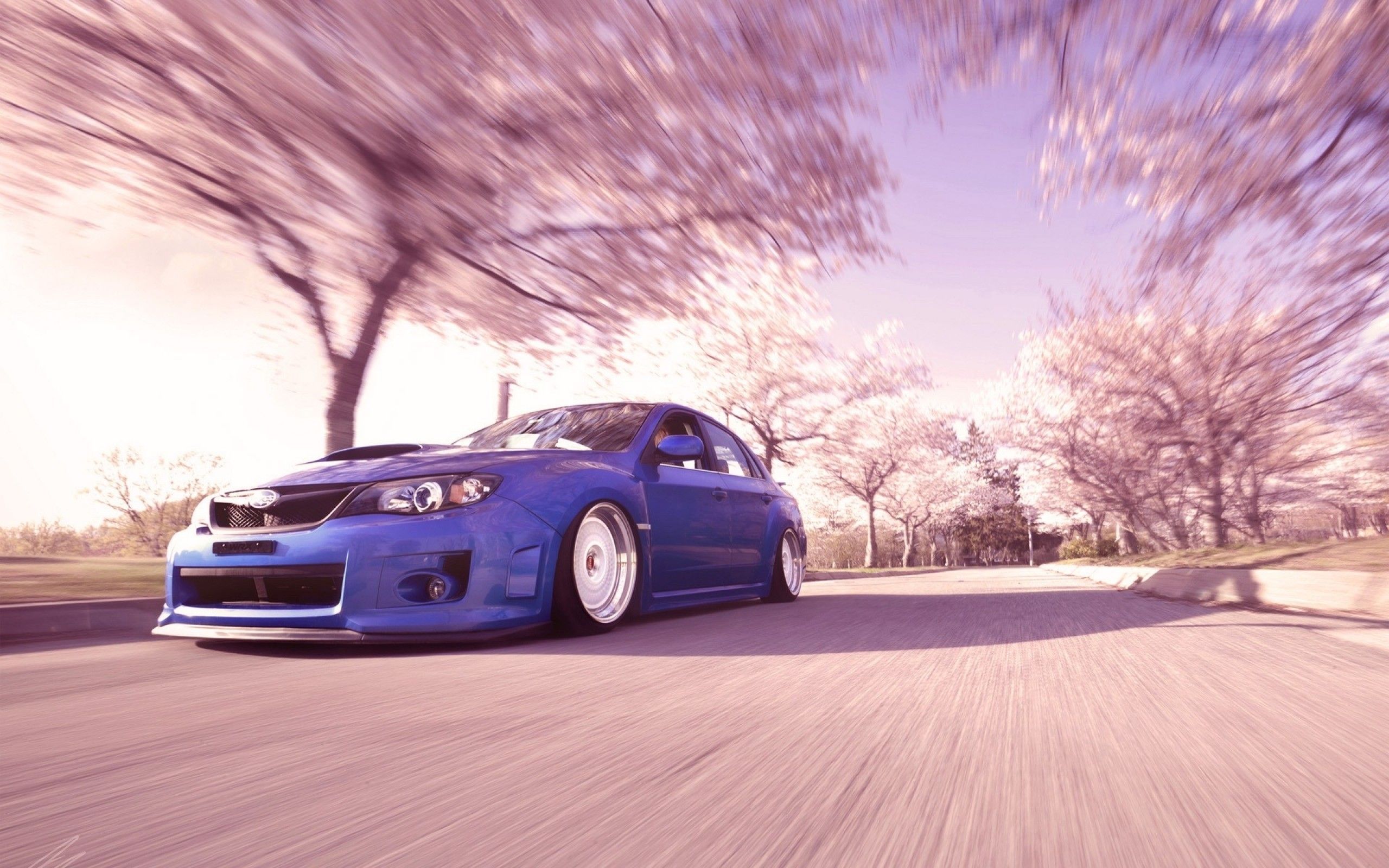 Download 2560x1600 Subaru Wrx Sti, Blurred, Trees, Spring, Cars