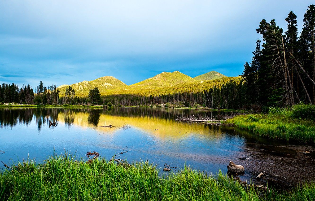 Wallpaper forest, the sky, clouds, trees, mountains, lake, USA