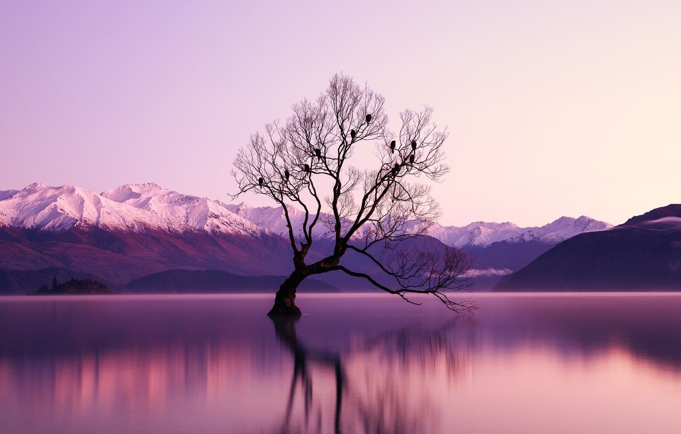 Wallpaper The sky, Water, Clouds, Reflection, The evening, Tree