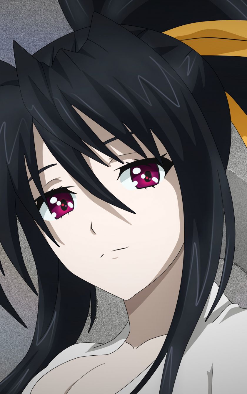 Download 840x1336 wallpaper akeno himejima, high school dxd, anime