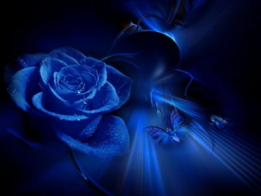 Blue Beauty Wallpapers Wallpaper Cave