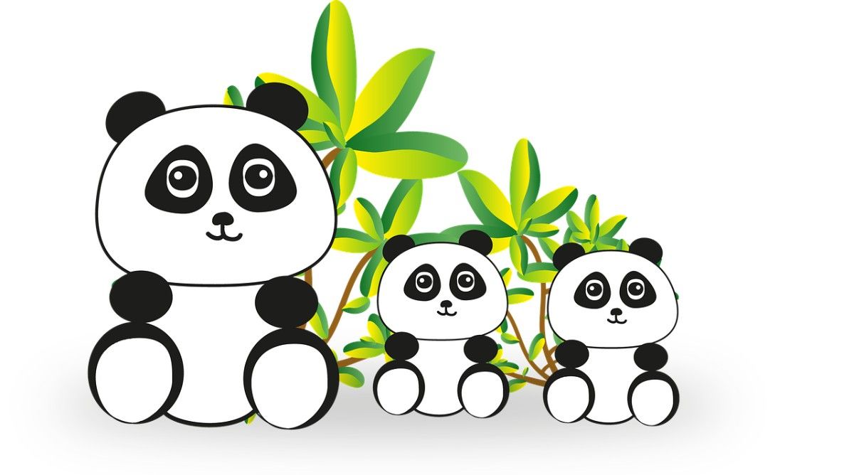 High Quality Free Cute Panda Wallpaper (HD Image)