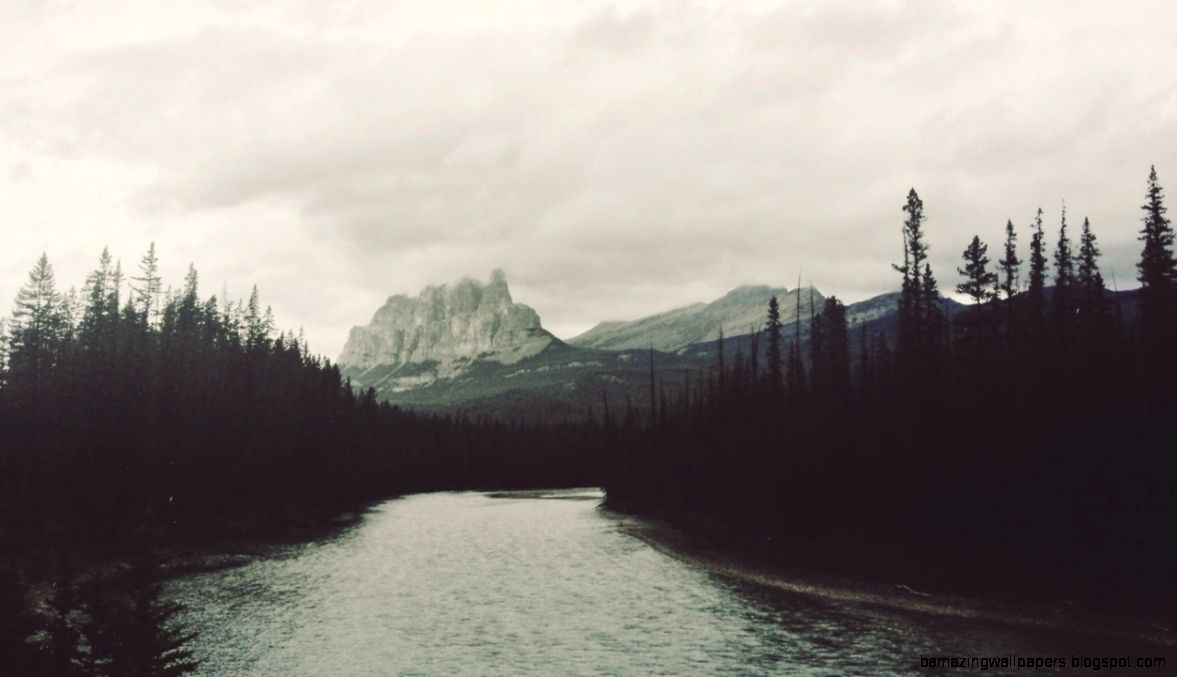 Mountain Forest Tumblr