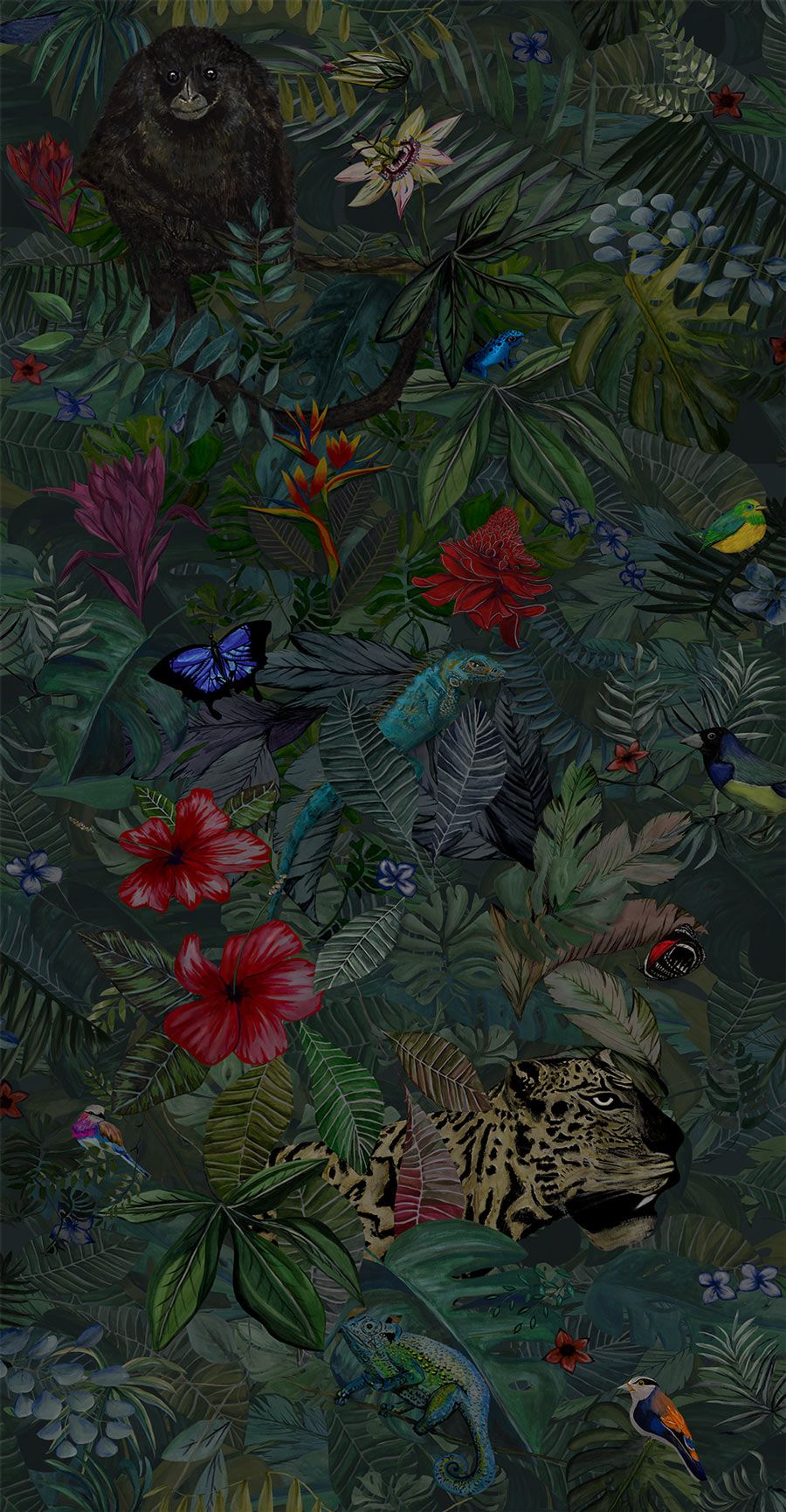 Free download Tropical Jungle Wallpaper Unique Rainforest