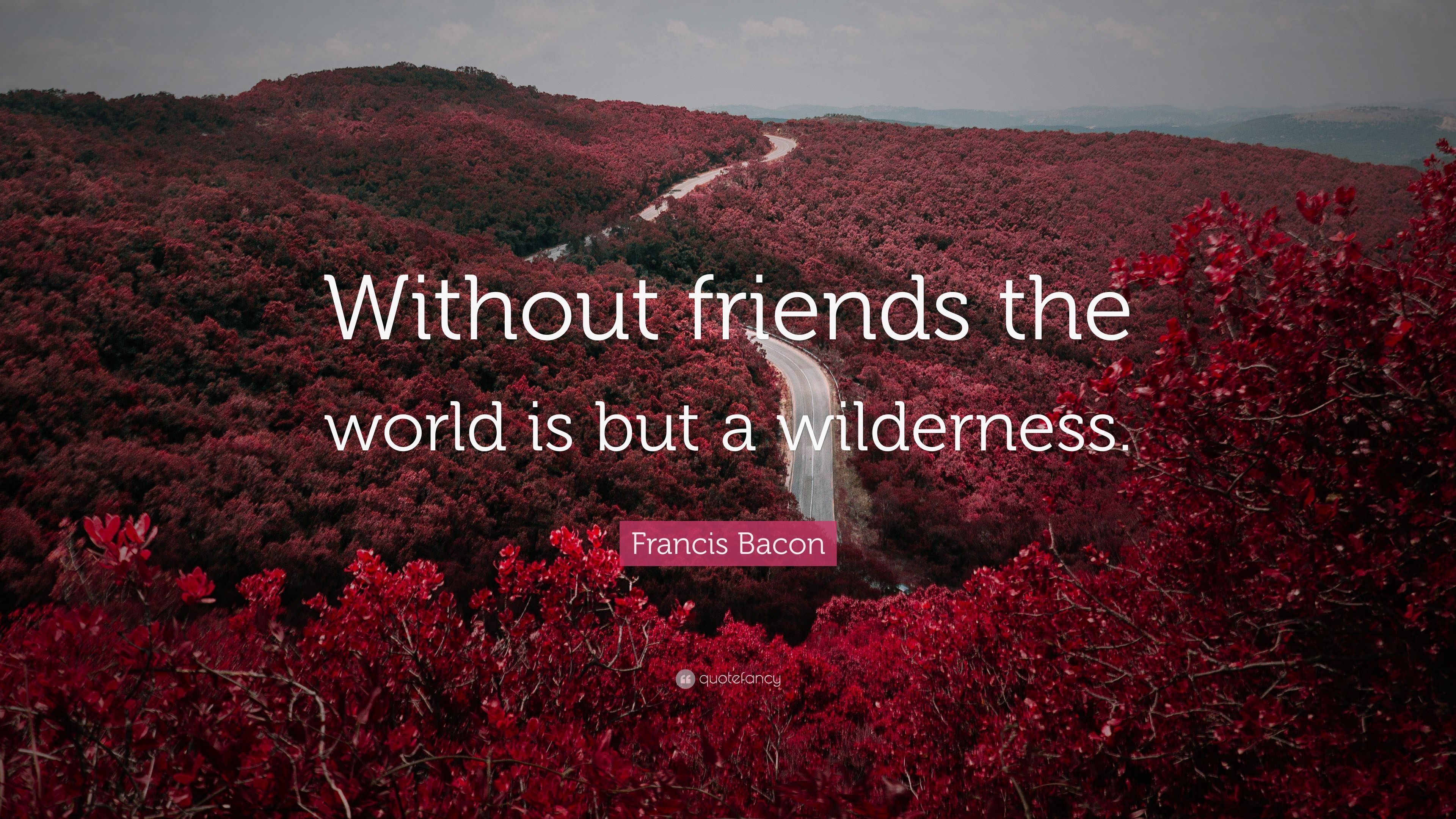 Francis Bacon Quote: “Without friends the world is but a
