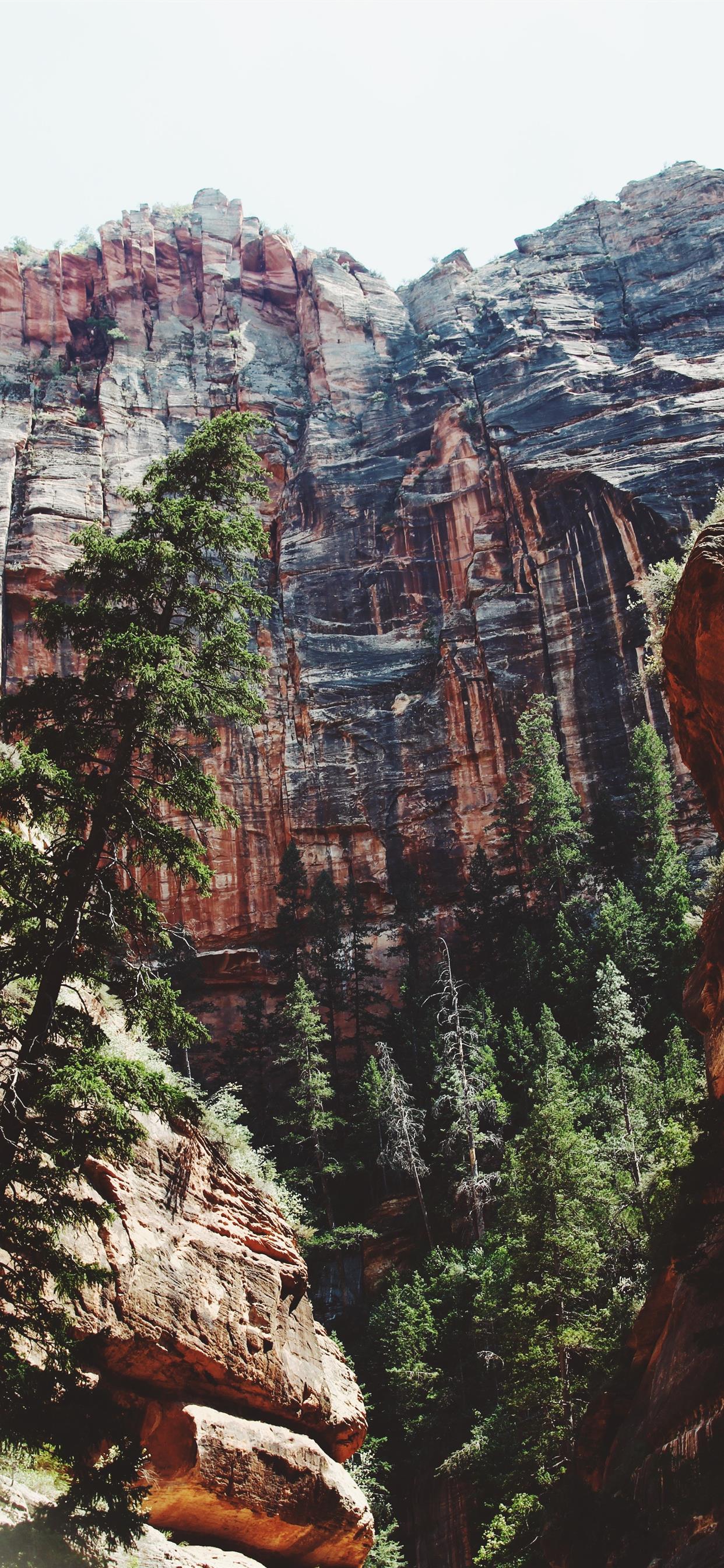 Zion National Park Springdale UT United States iPhone X Wallpaper Free Download