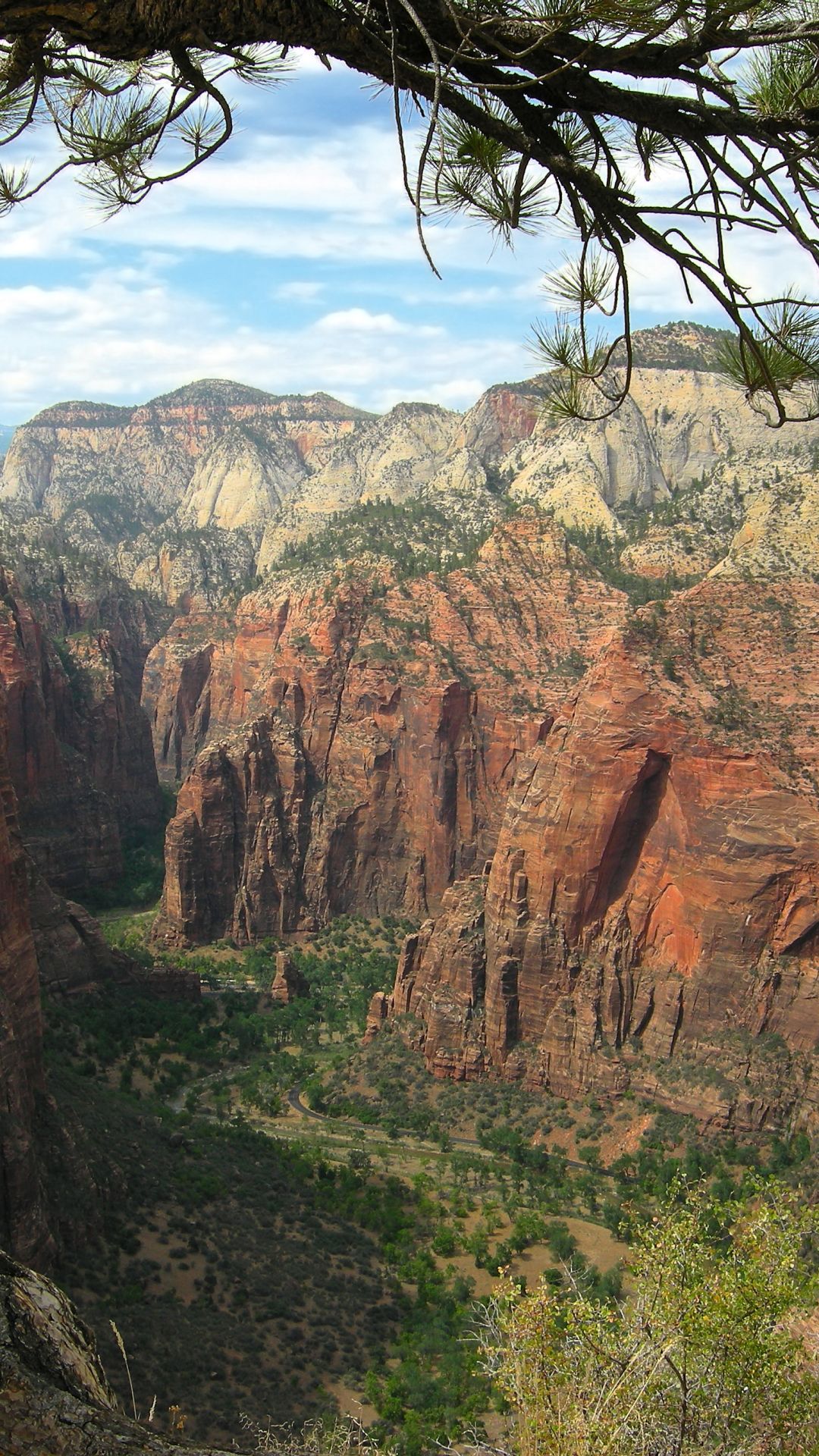 Earth Zion National Park (1080x1920) Wallpaper